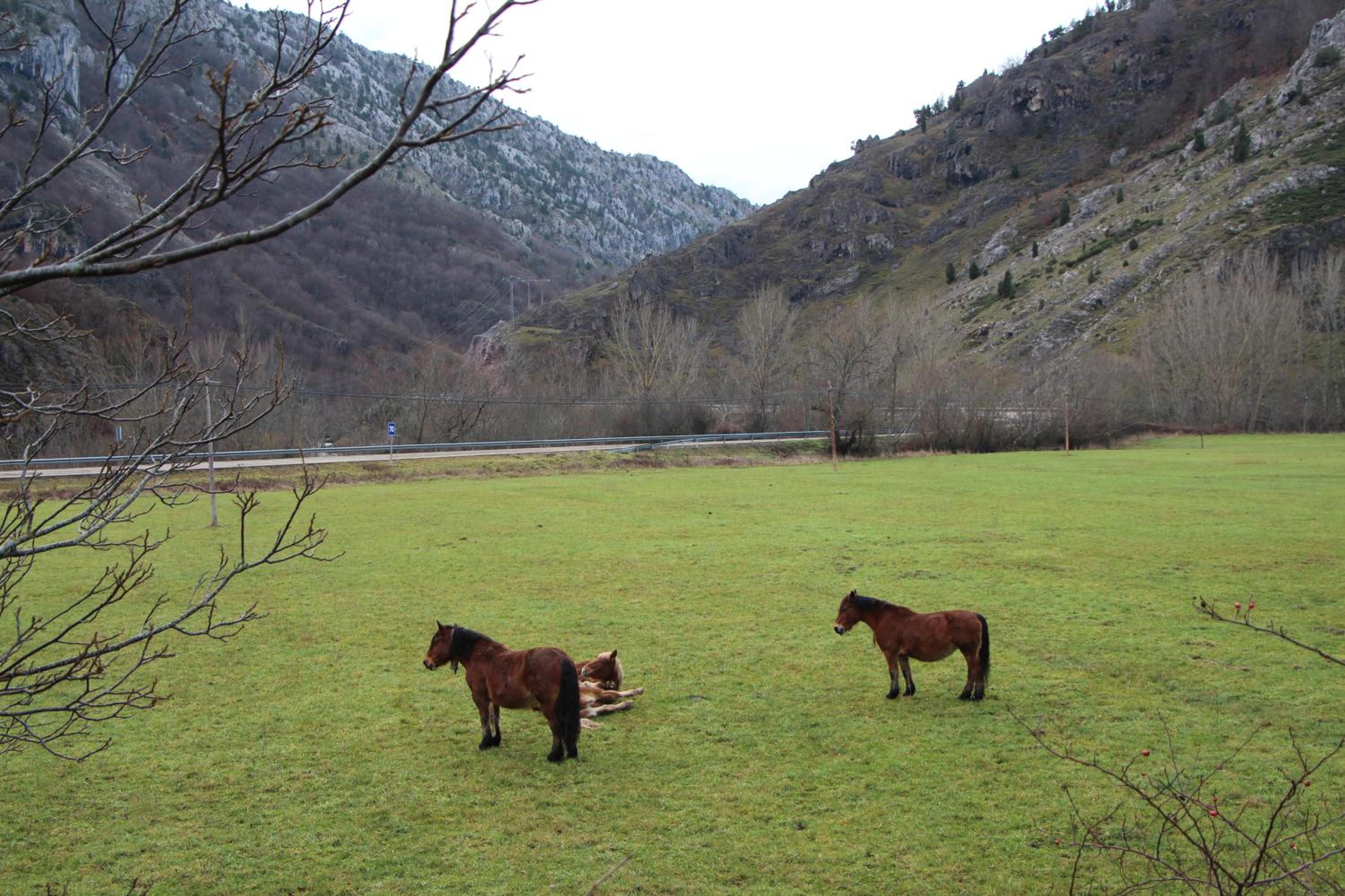 Hotel Moto-Rural 