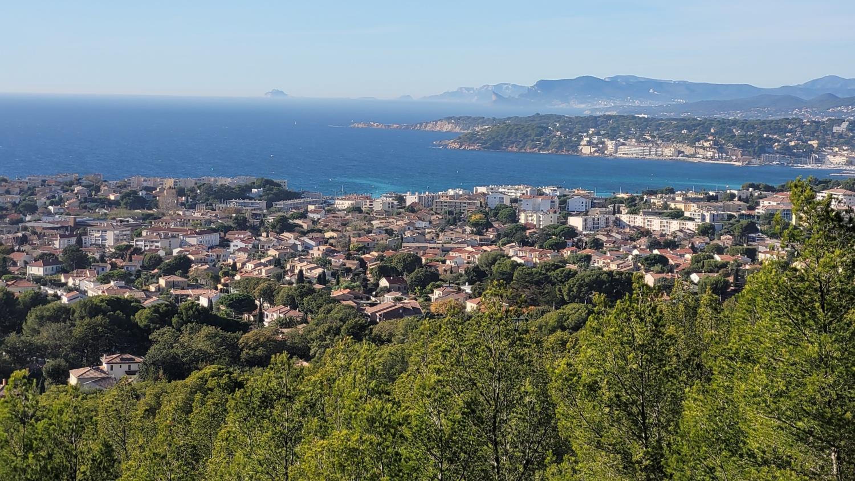 les Marronniers