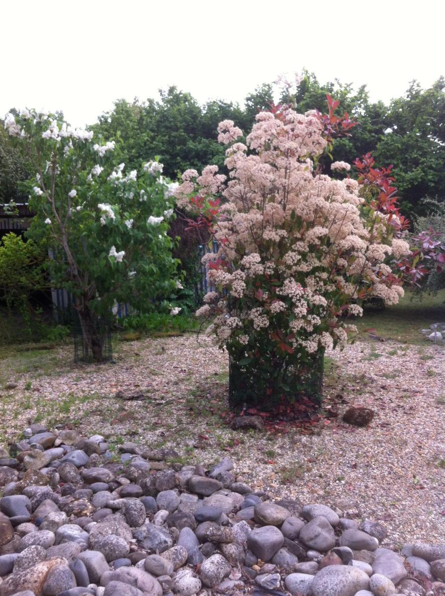 Photo 26