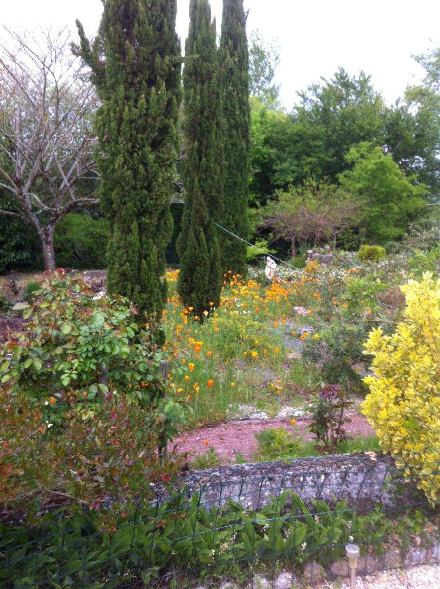 Photo 27
