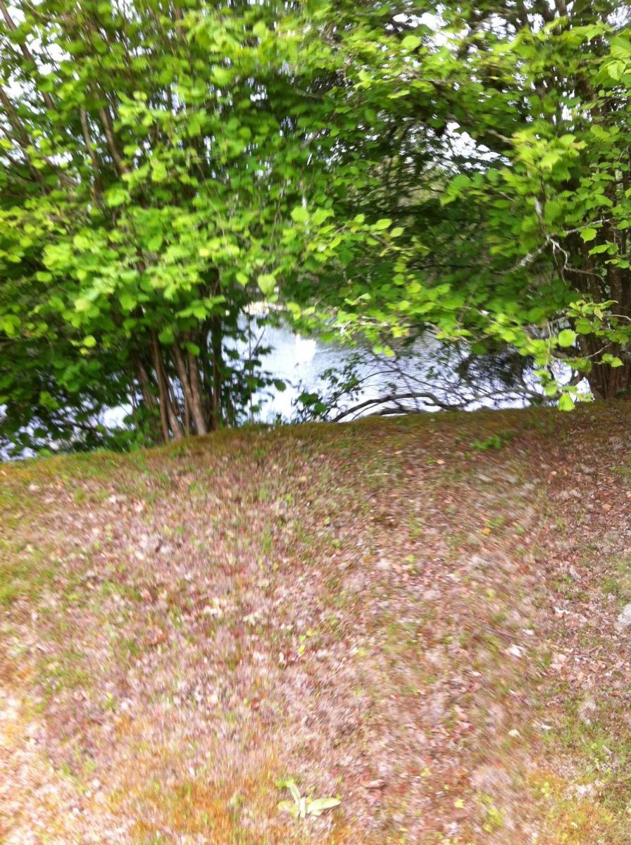 Photo 31
