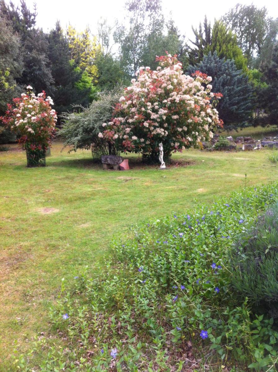 Photo 8