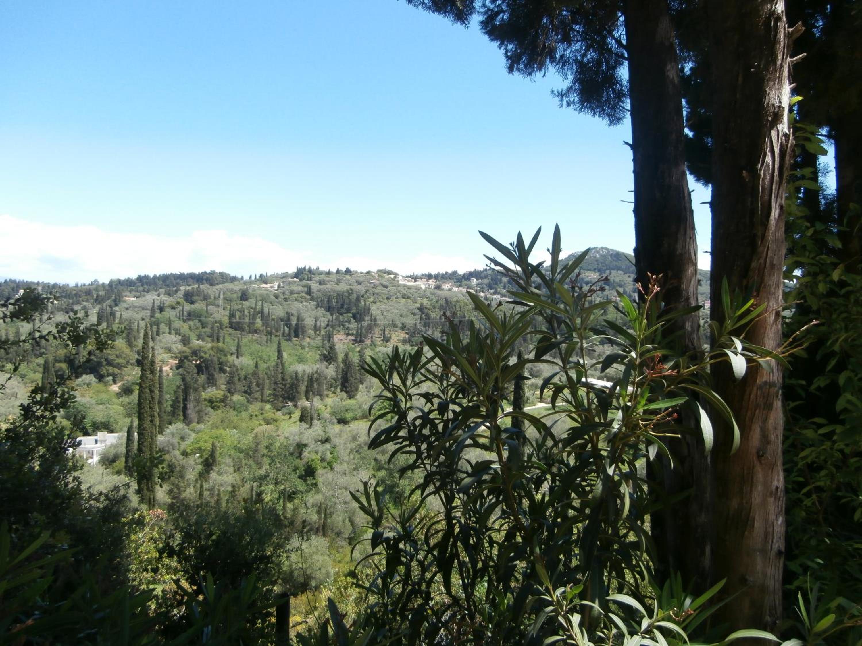 Photo 45