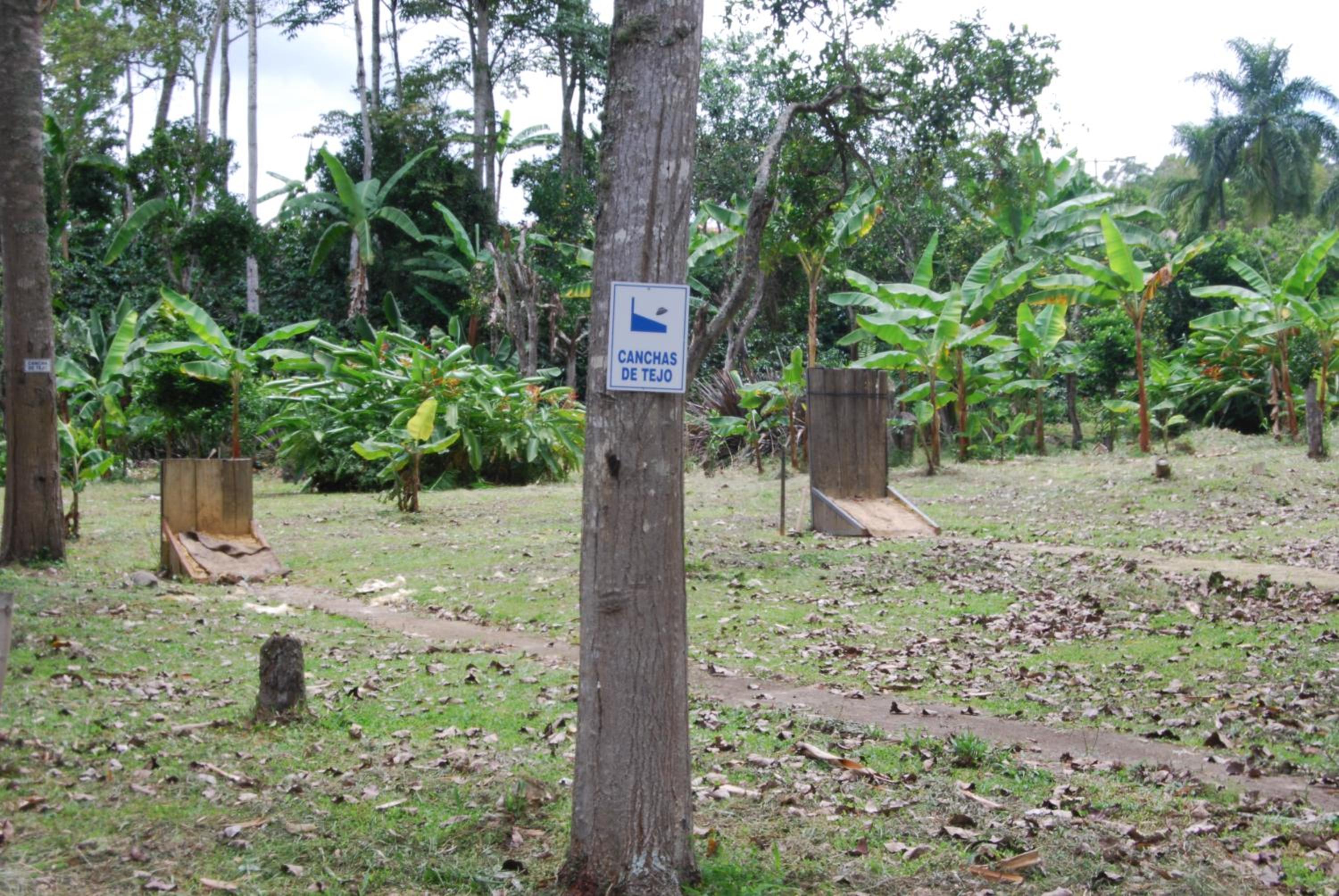 Las Mercedes Finca Cafetera