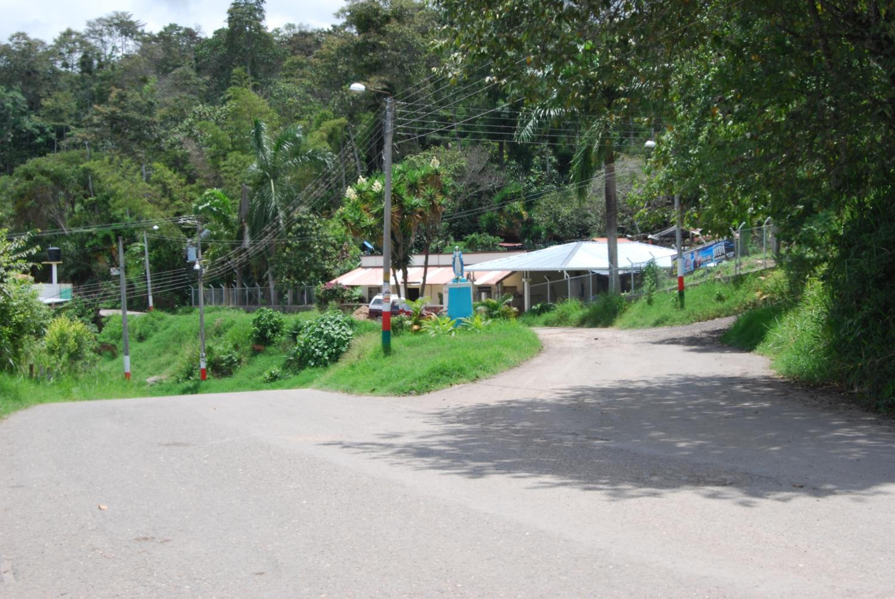 Las Mercedes Finca Cafetera