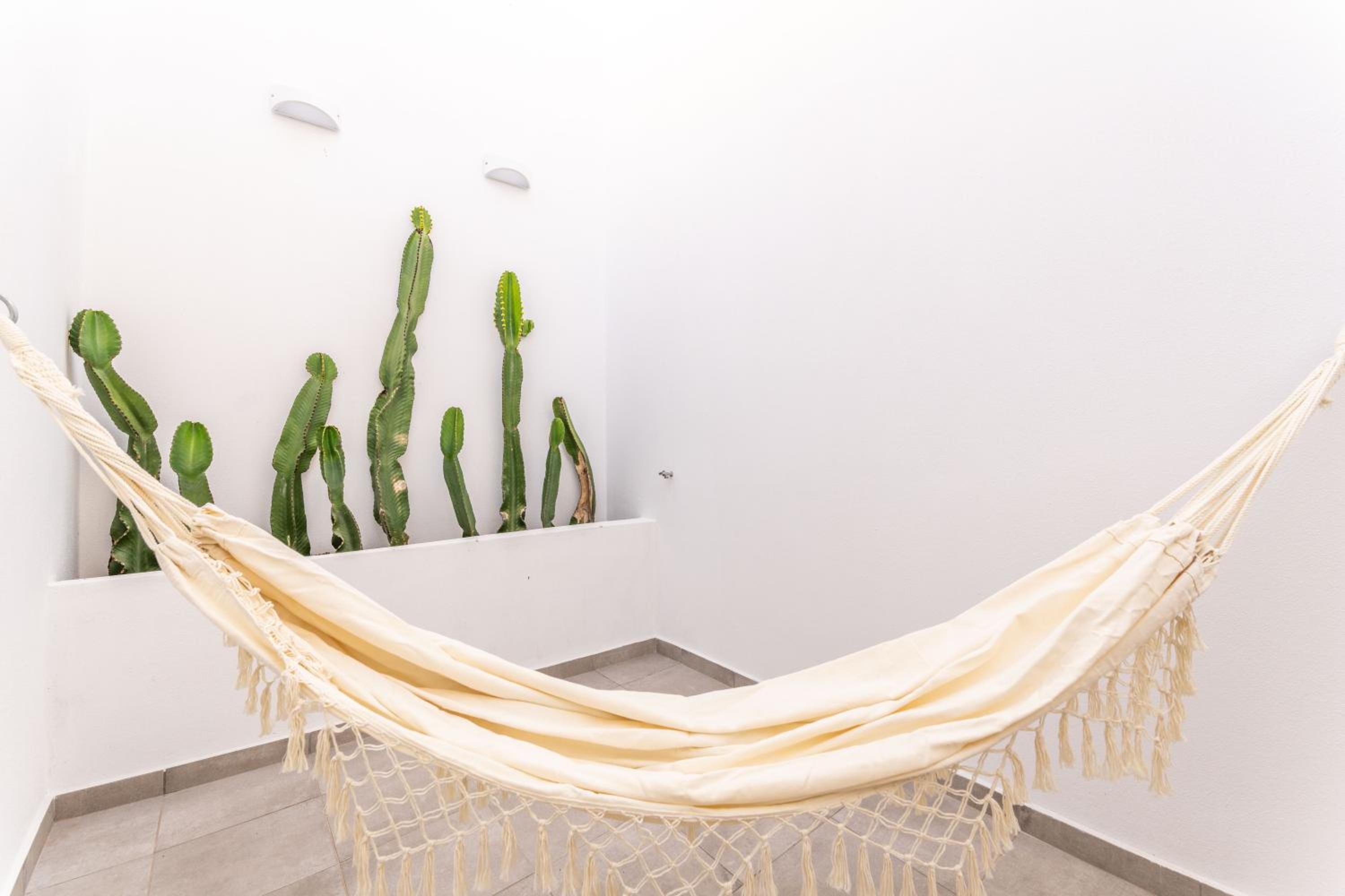 Casa da Avenida 1 - Centro - Private Terrace