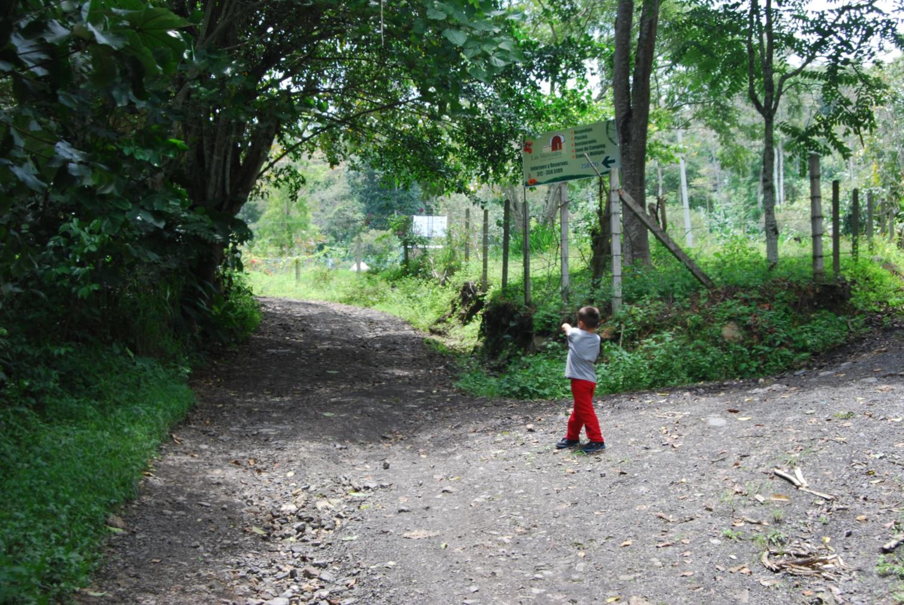 Las Mercedes Finca Cafetera