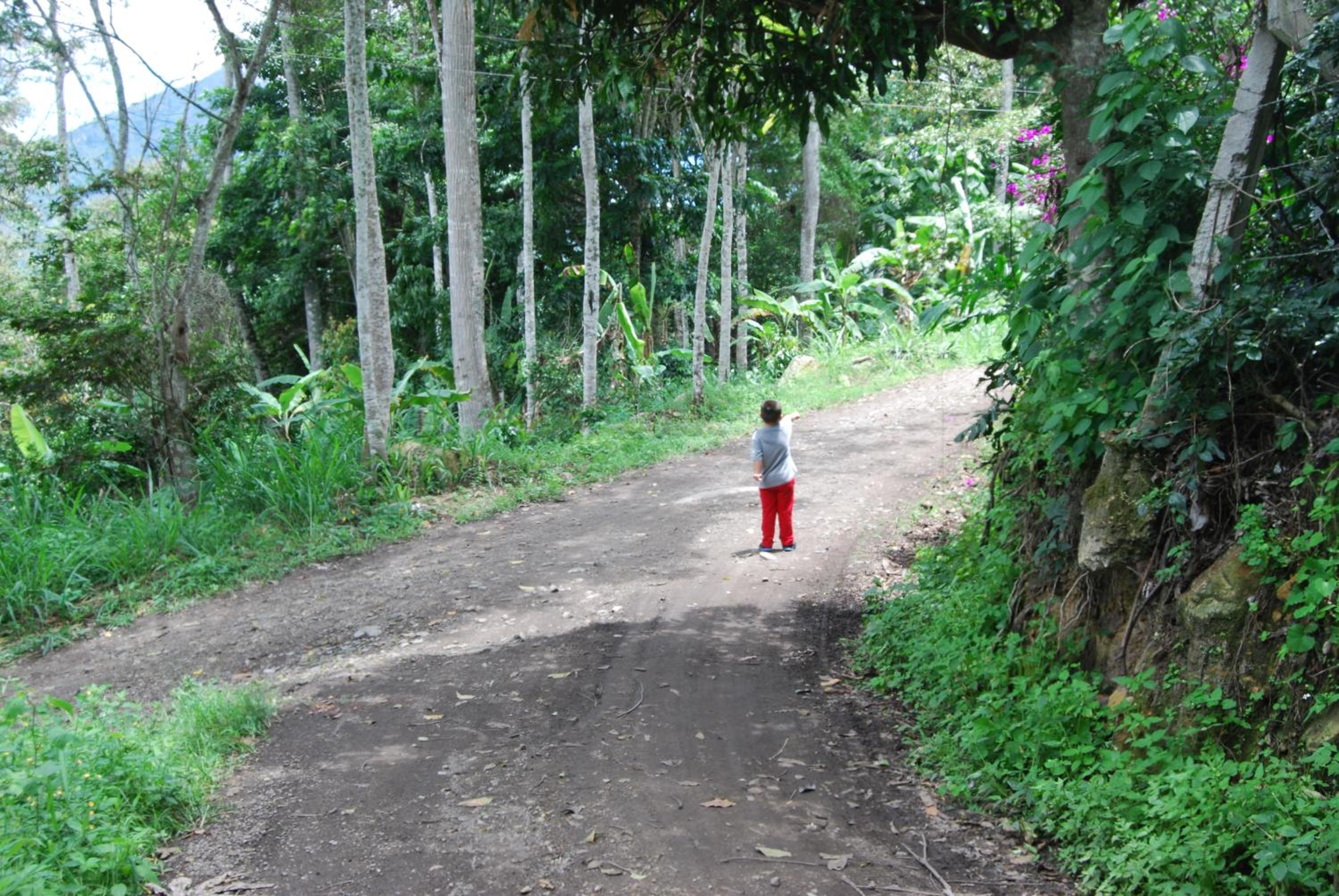 Las Mercedes Finca Cafetera