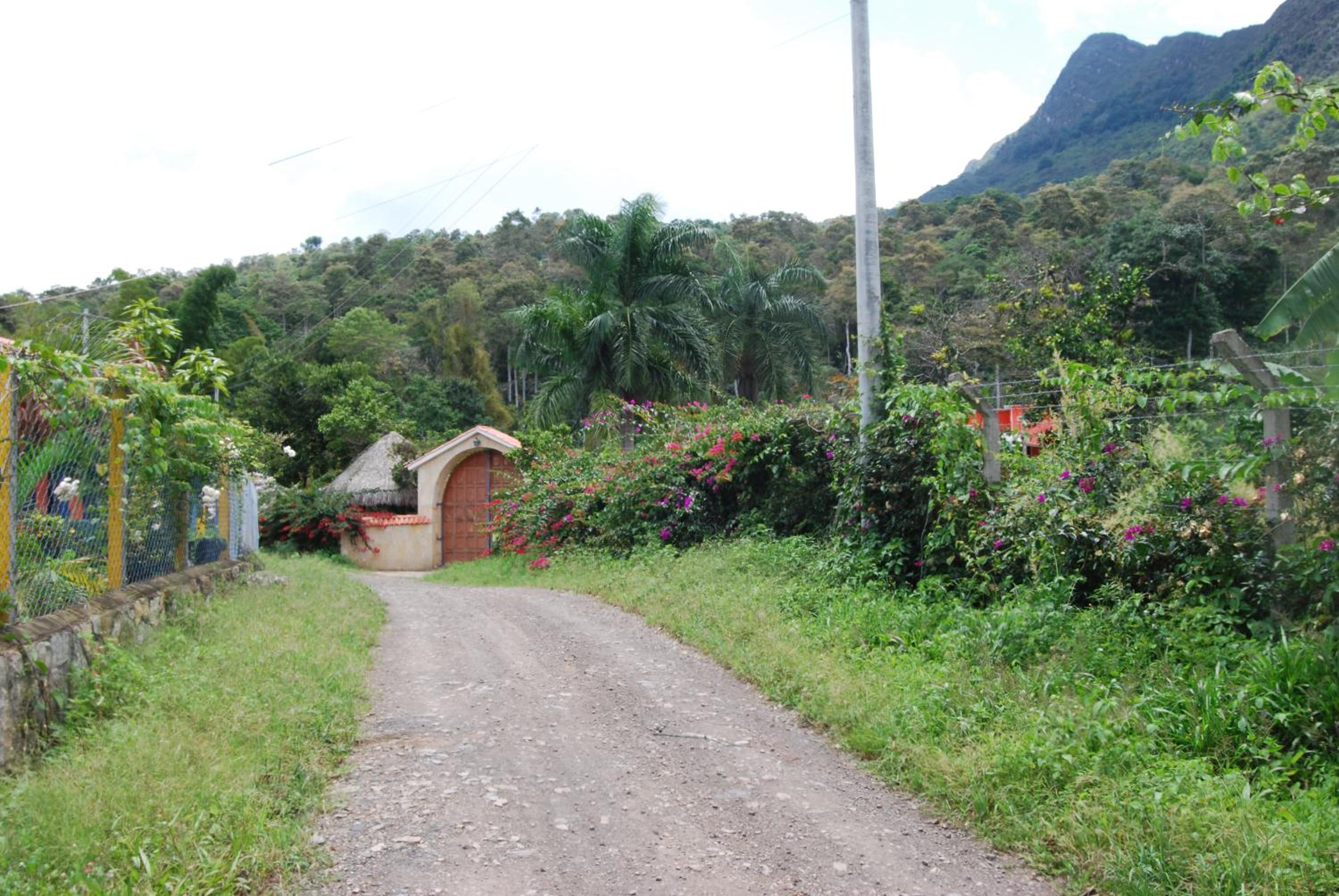 Las Mercedes Finca Cafetera