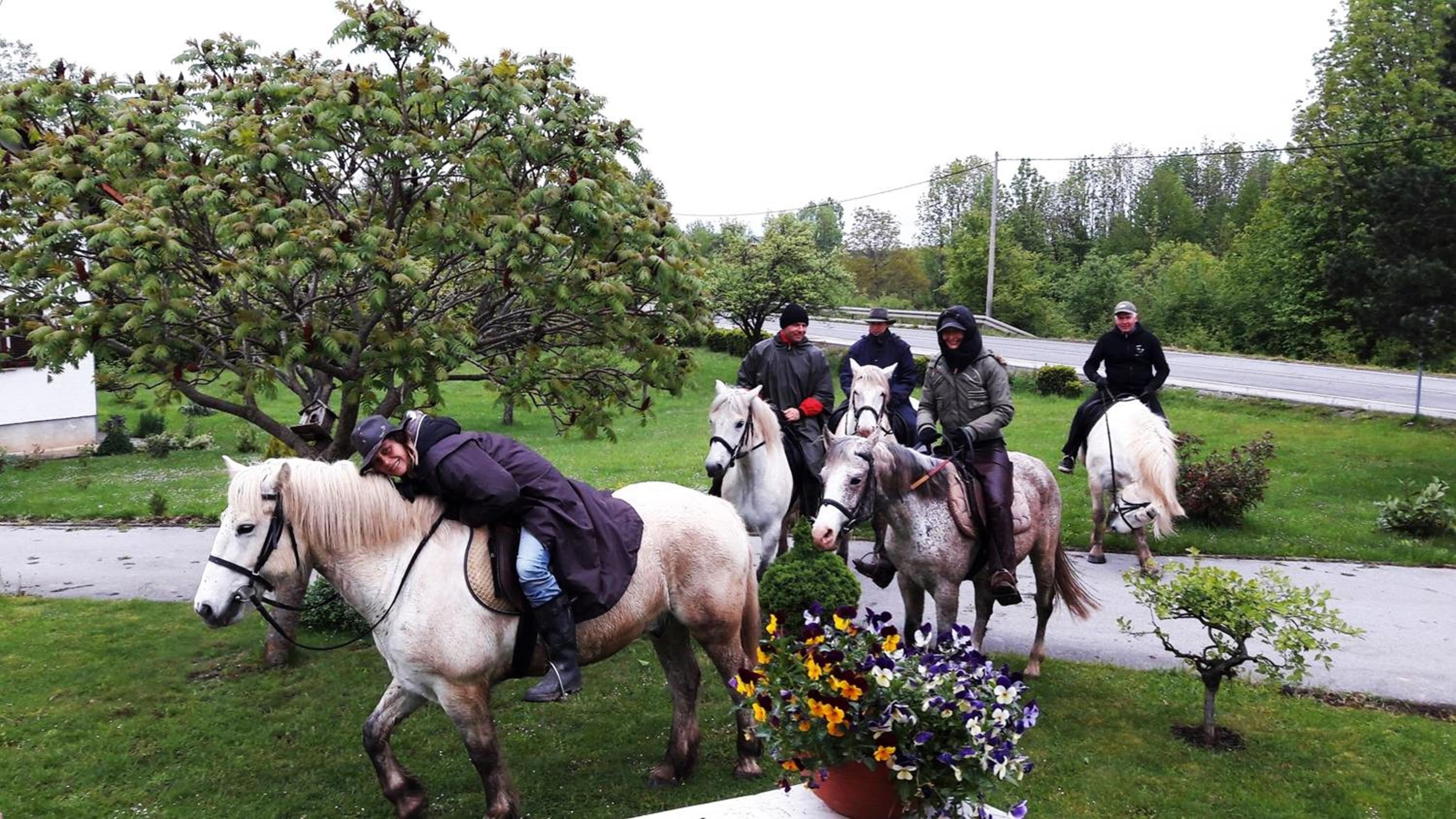 Ranch Terra