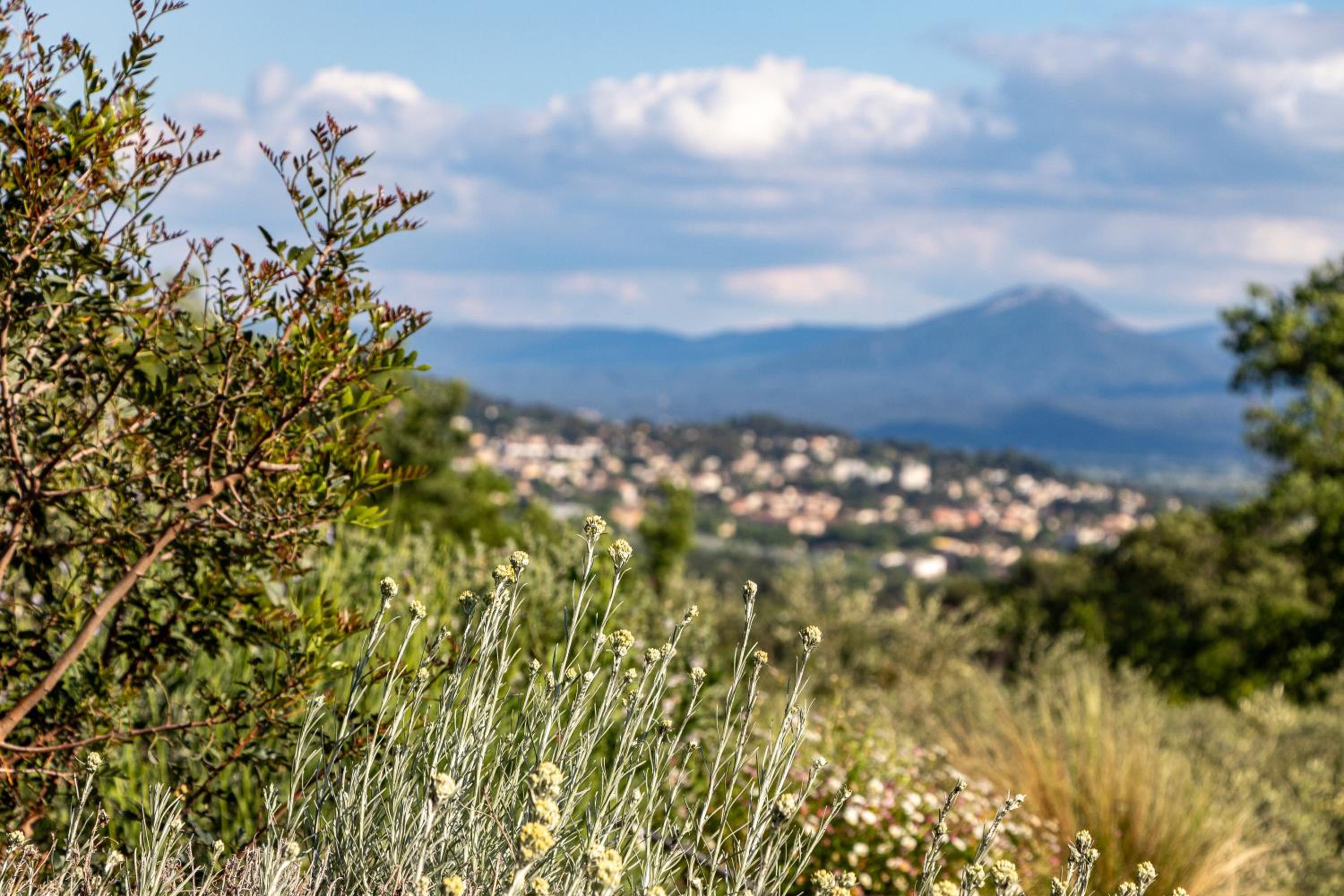 Terre Luberon, photo 17