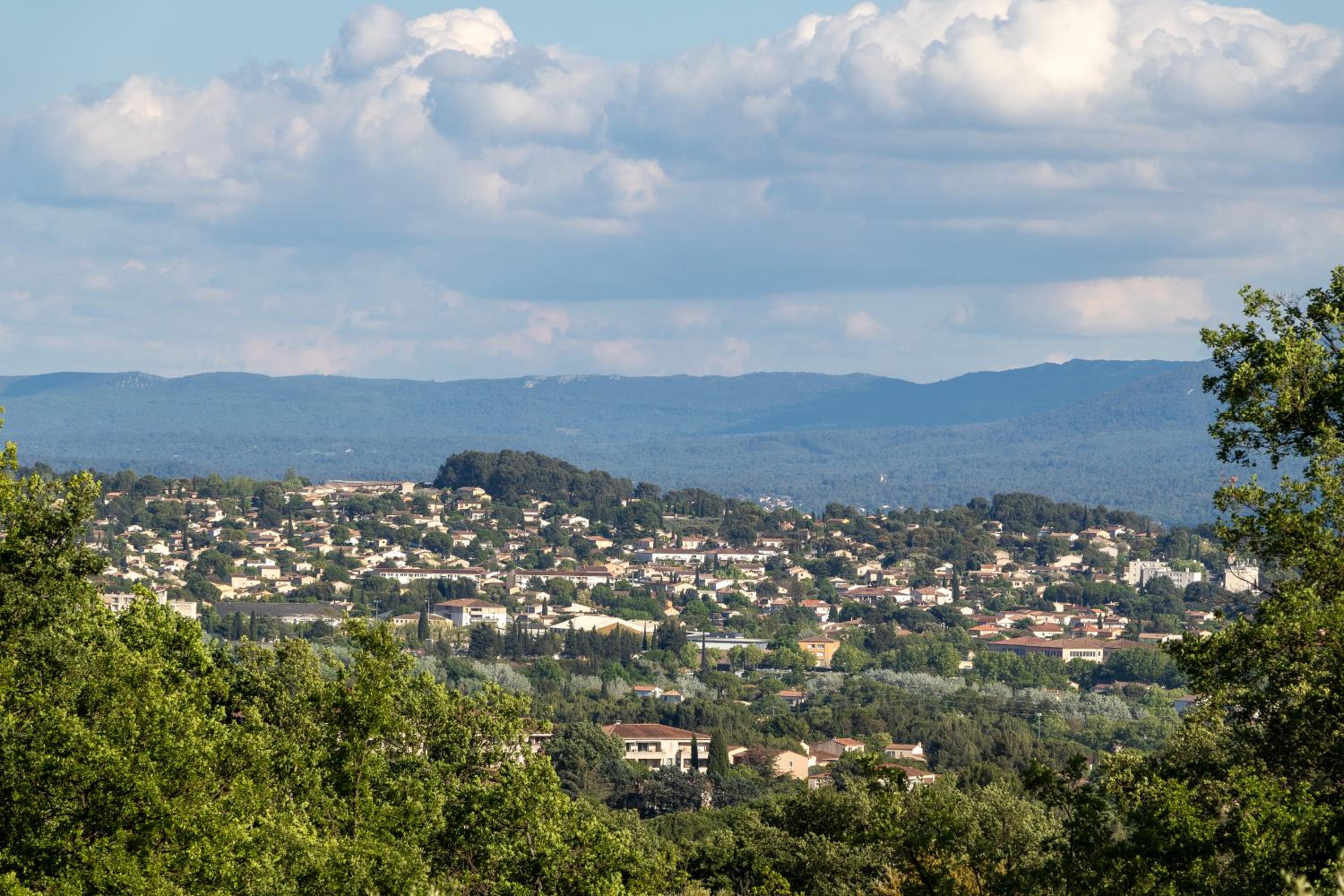 Terre Luberon, photo 16