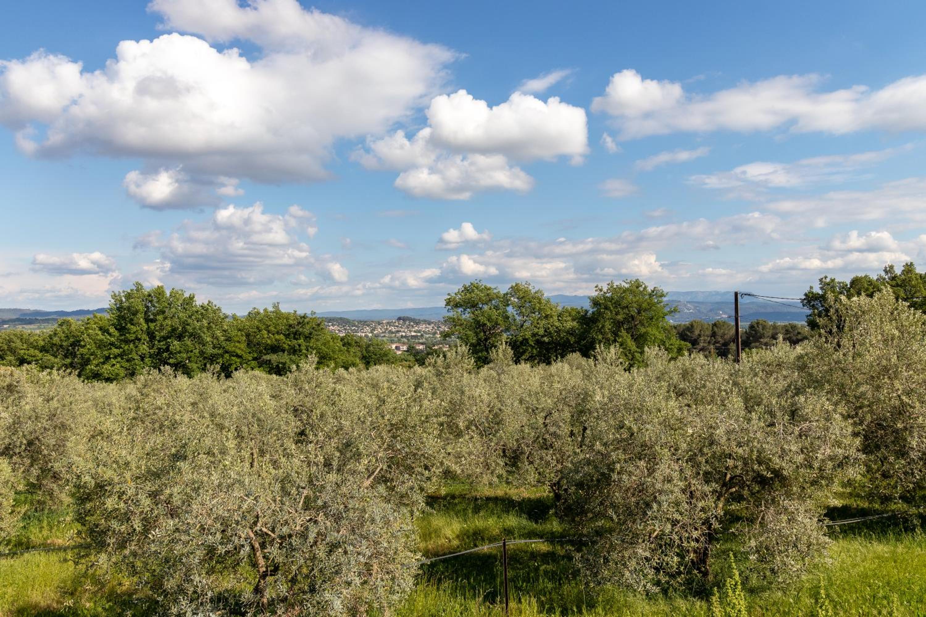 Terre Luberon, photo 3
