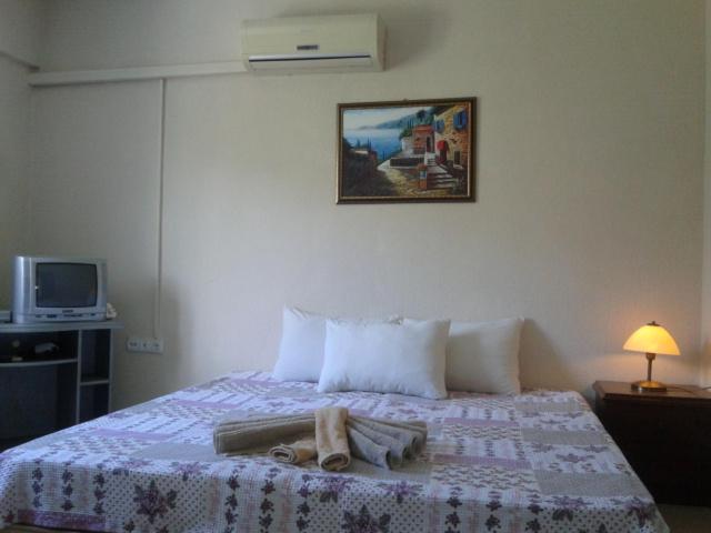 Photo 51