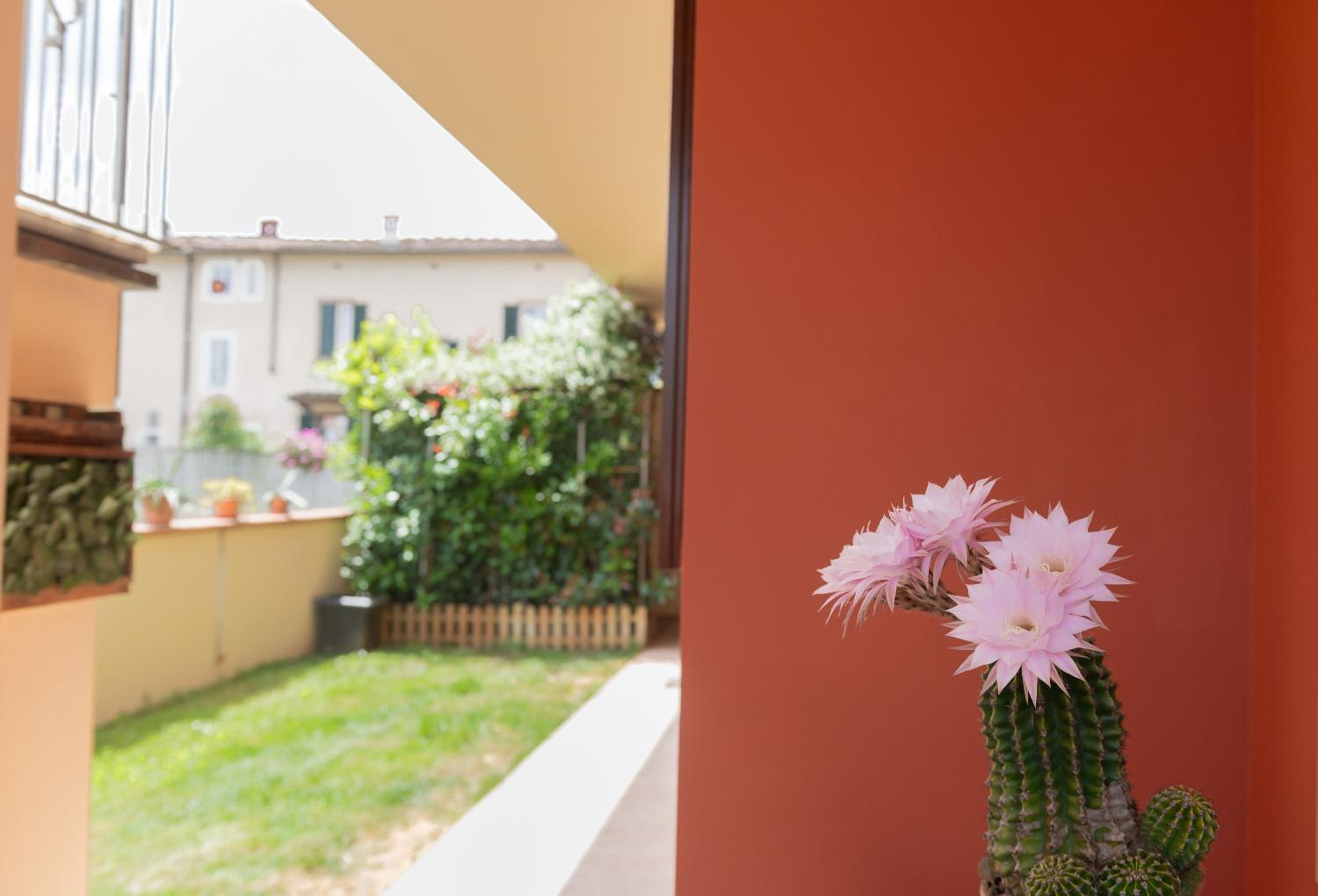 La casa di Kira