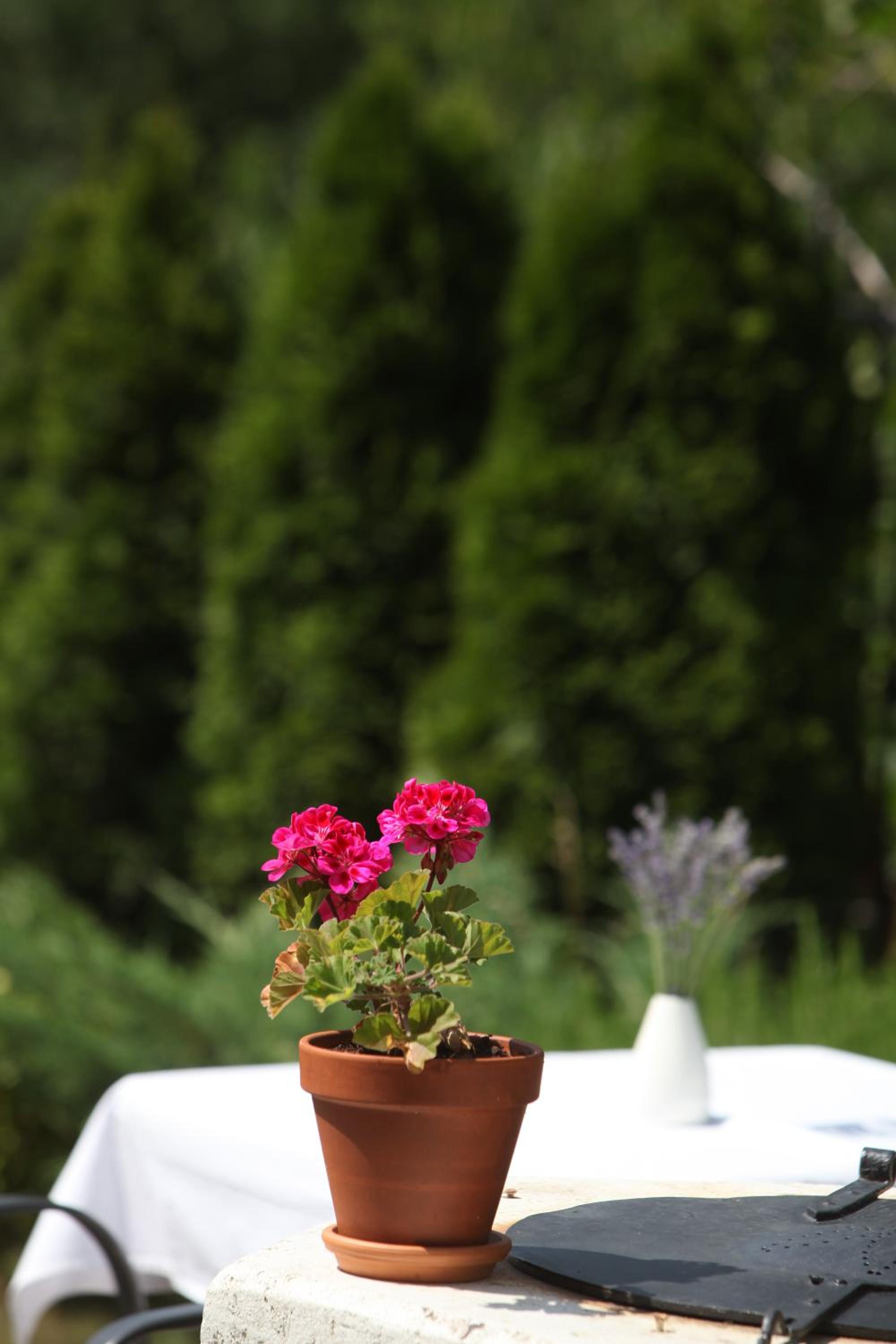 Guest House Stancija Kovacici