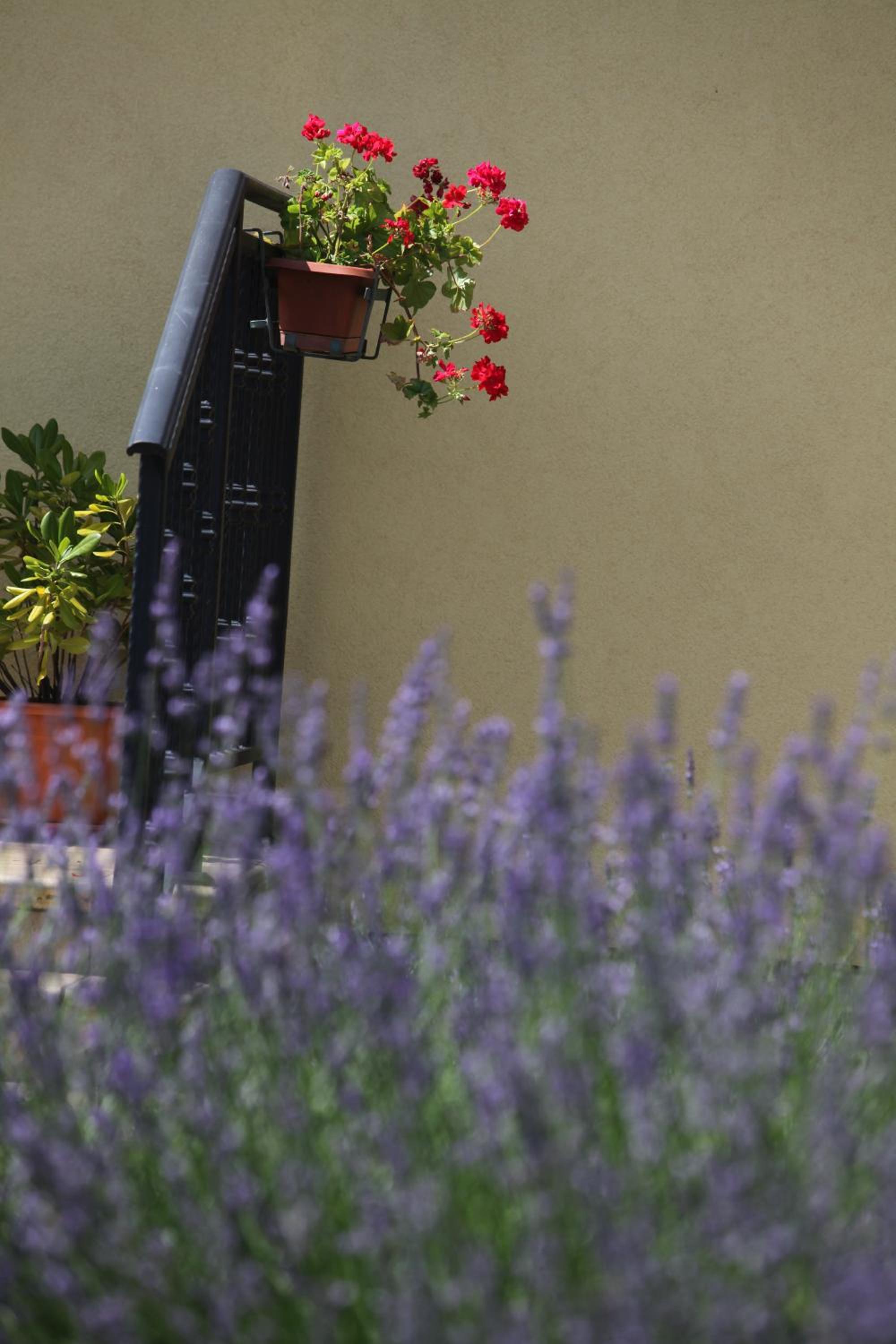 Guest House Stancija Kovacici