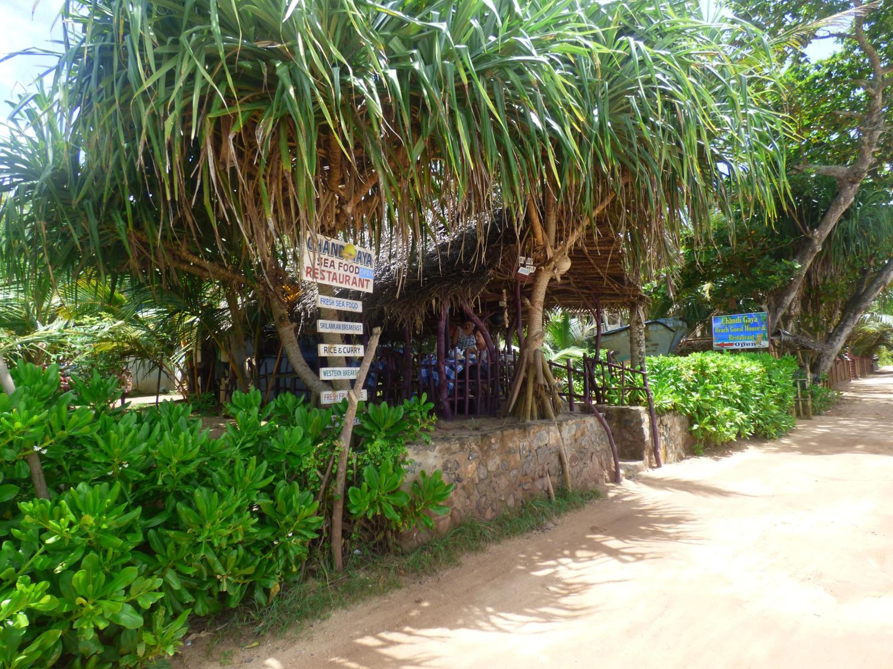 Photo 46