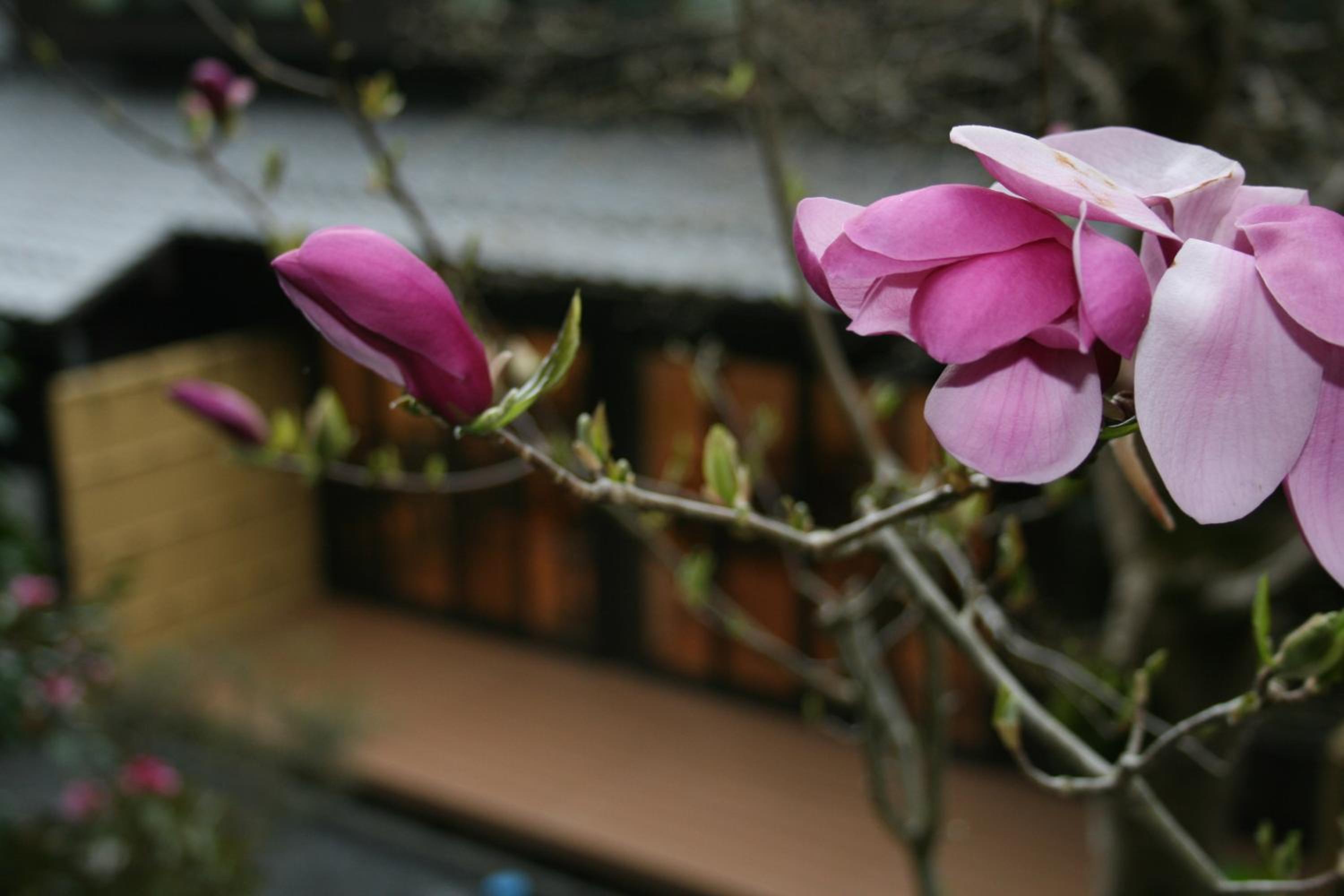 Yumoto Onsen OharaSansou