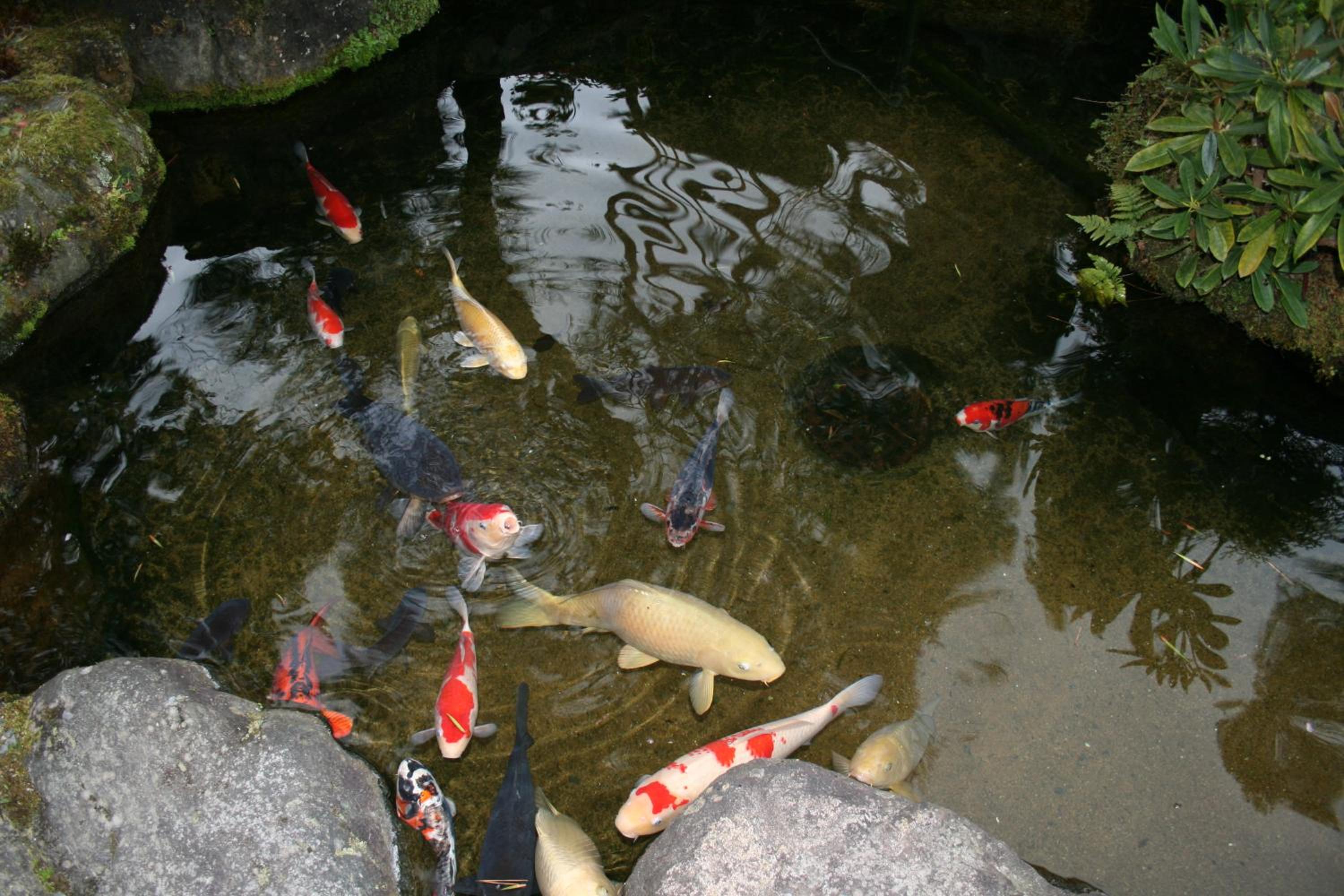Yumoto Onsen OharaSansou