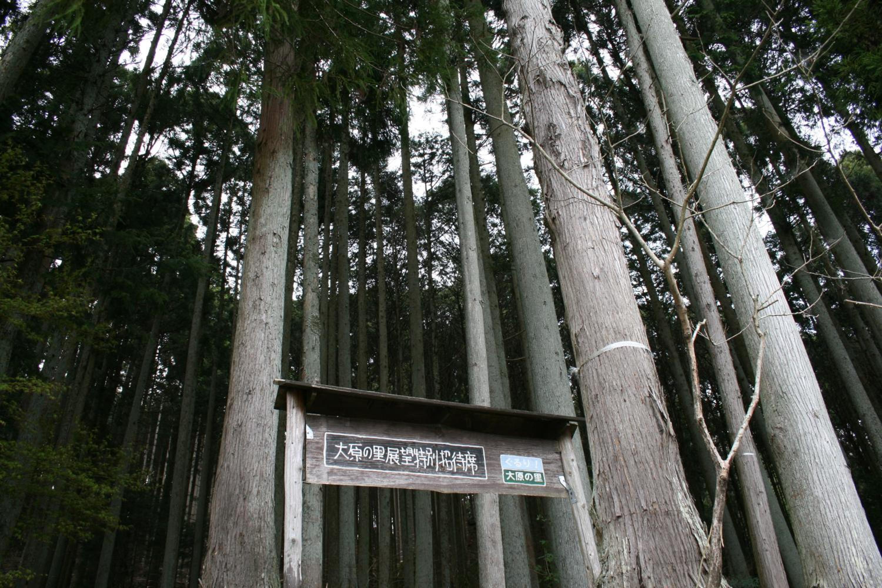 Yumoto Onsen OharaSansou