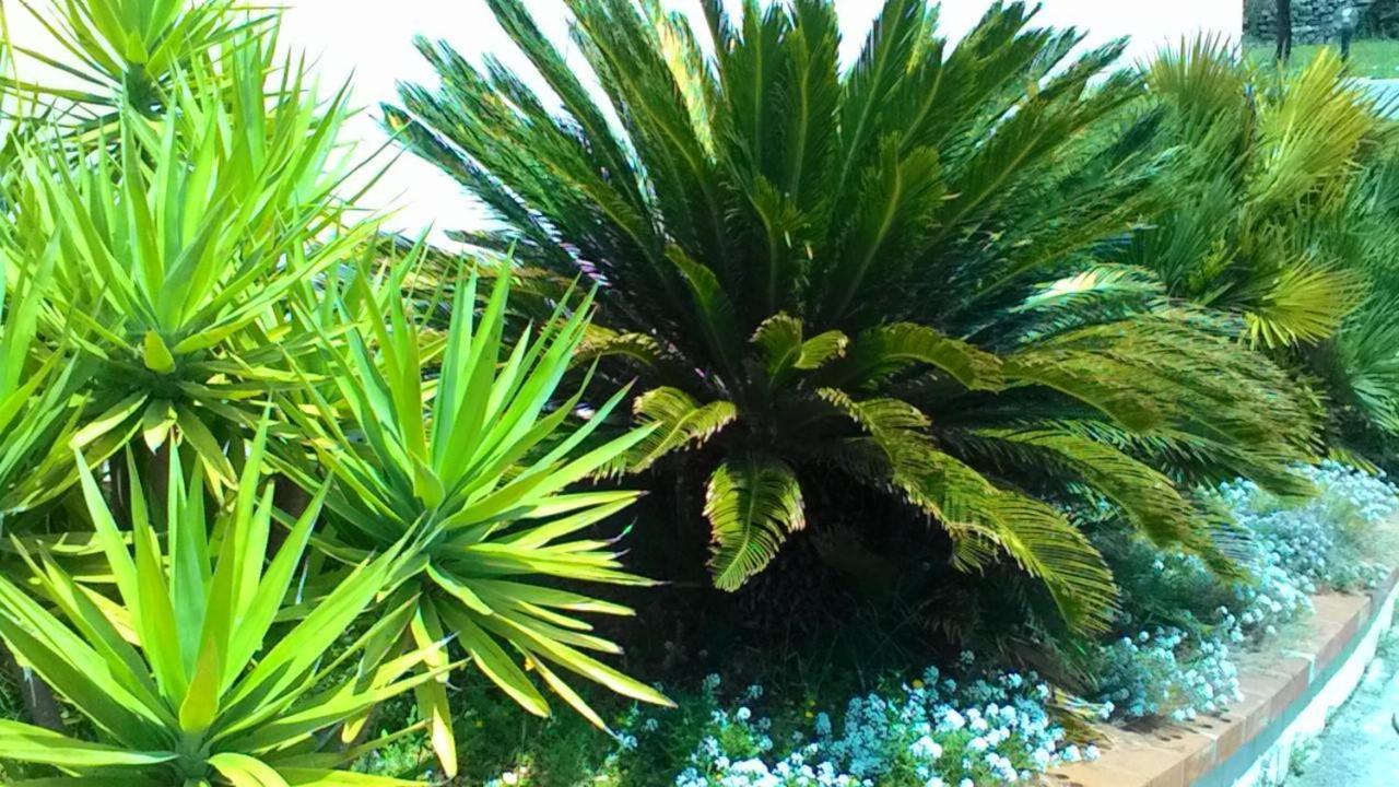 Photo 27