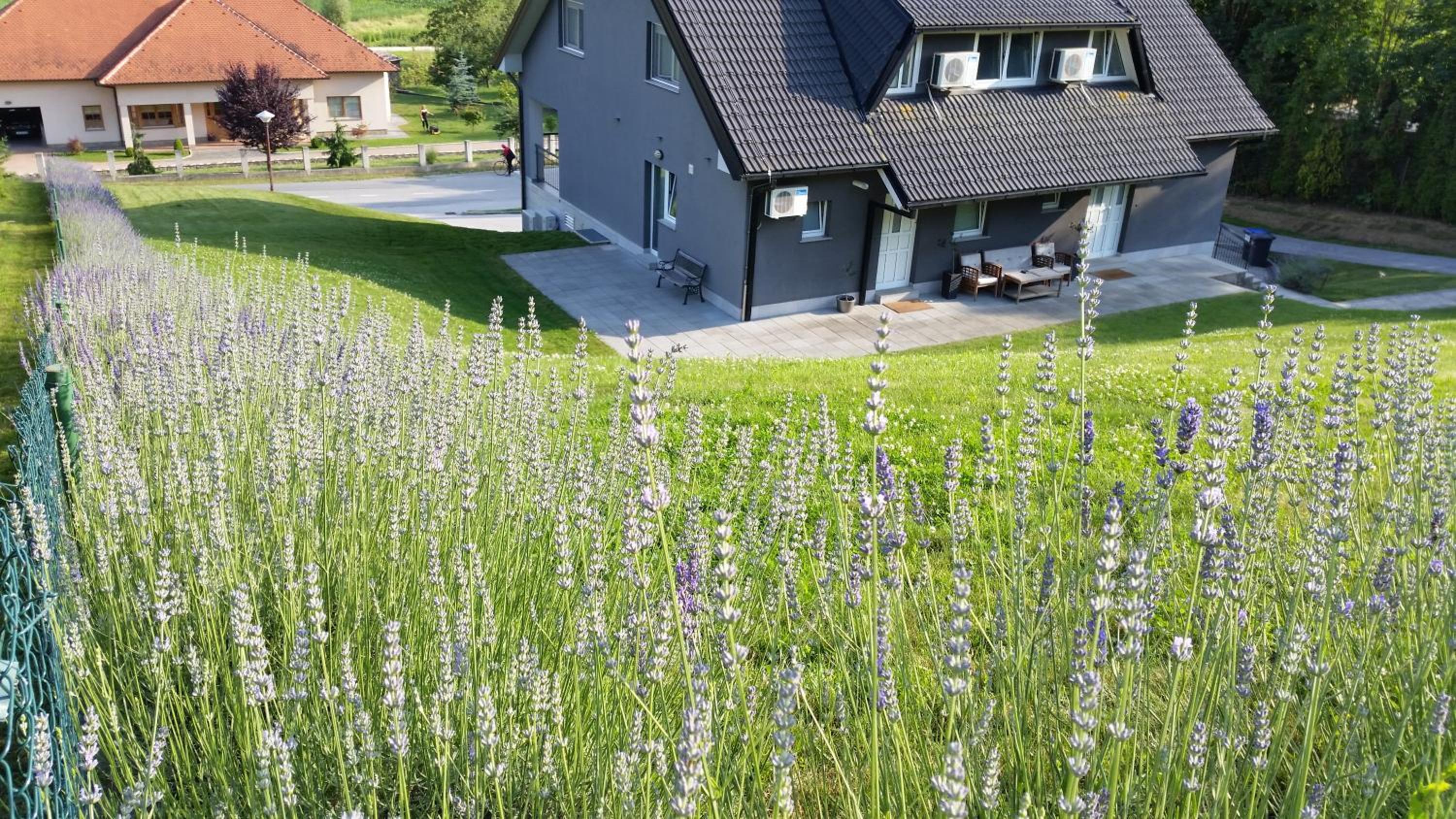 Apartmani Sanja view 3
