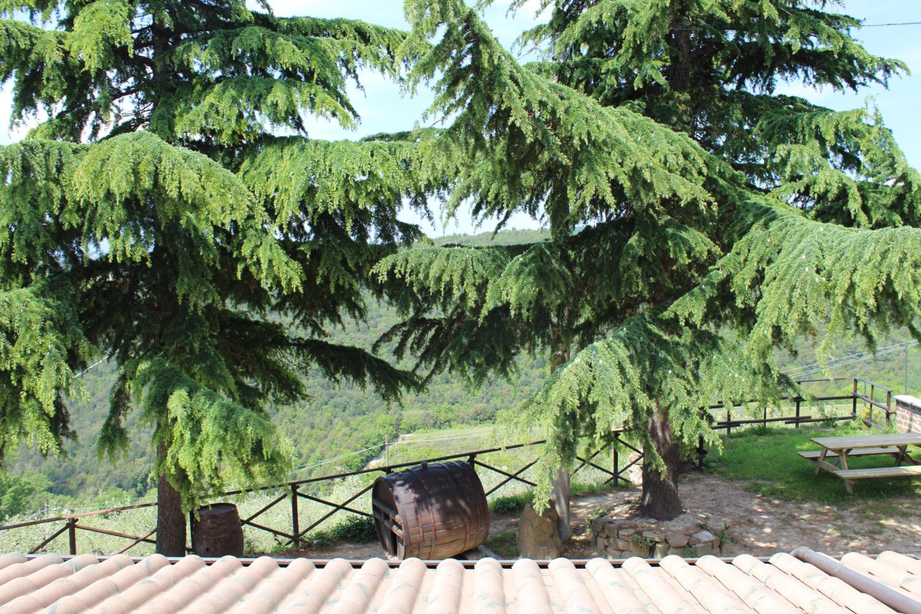 Photo 43