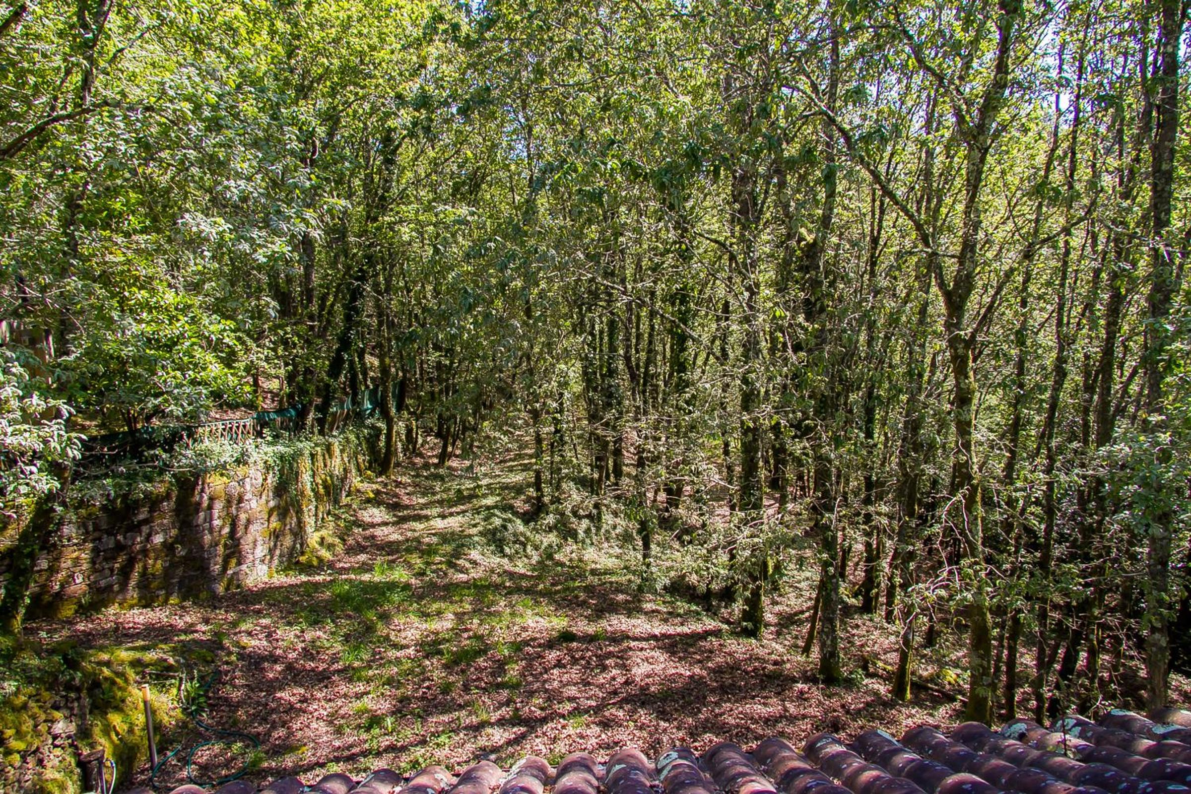 Liiiving in Caminha | Oak Tree Chill House