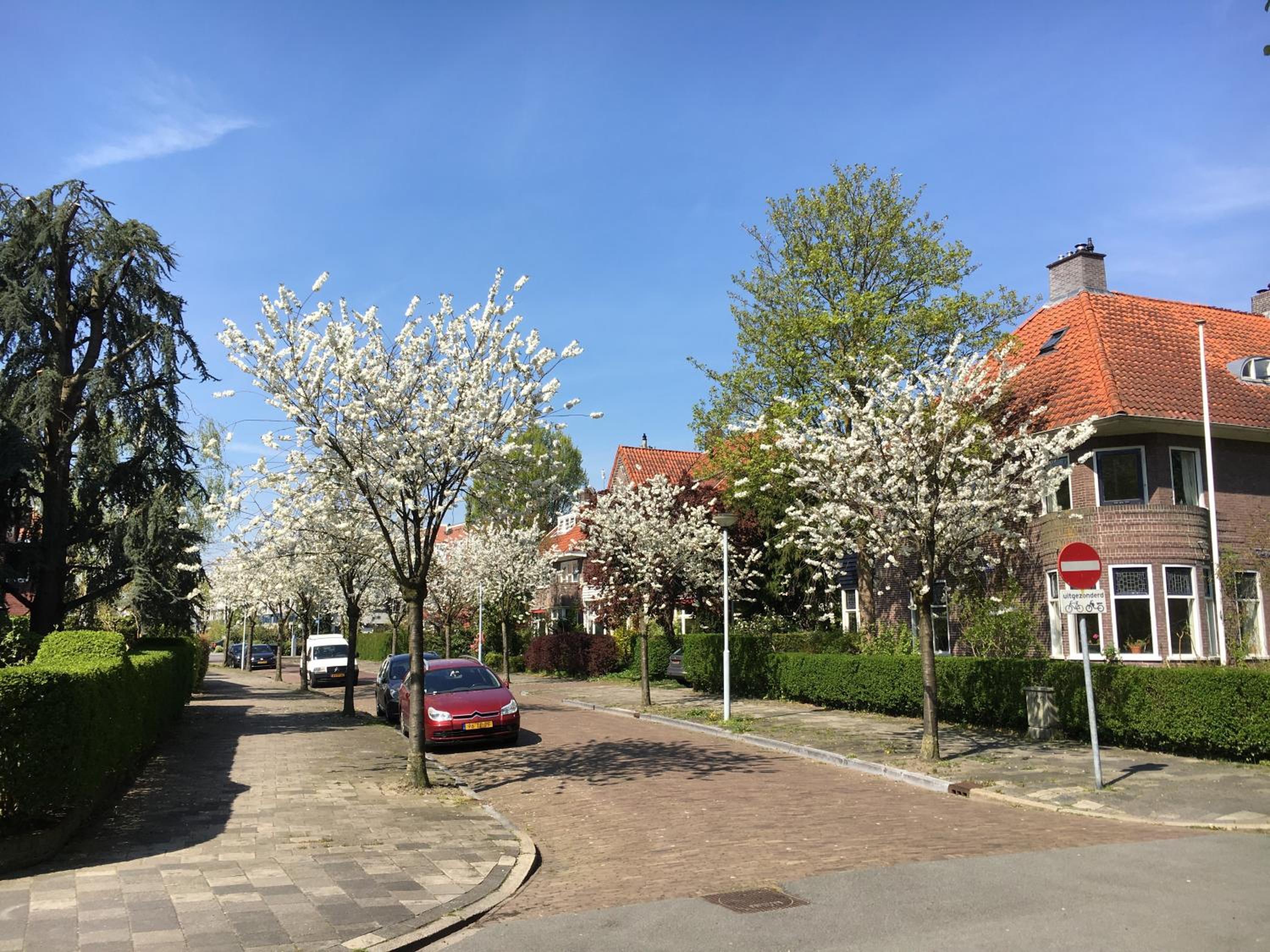 Photo 47