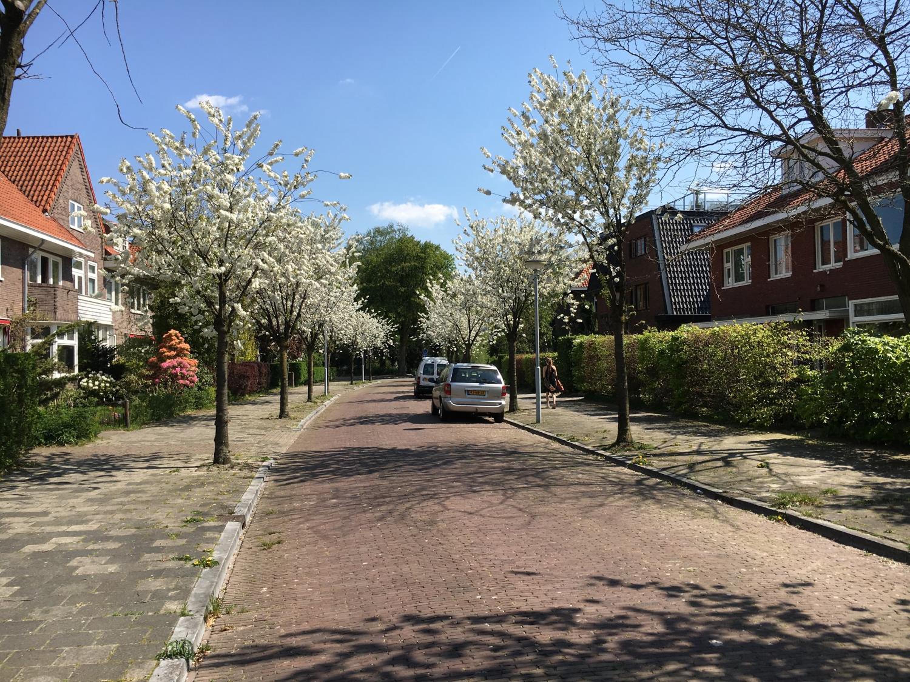 Photo 48