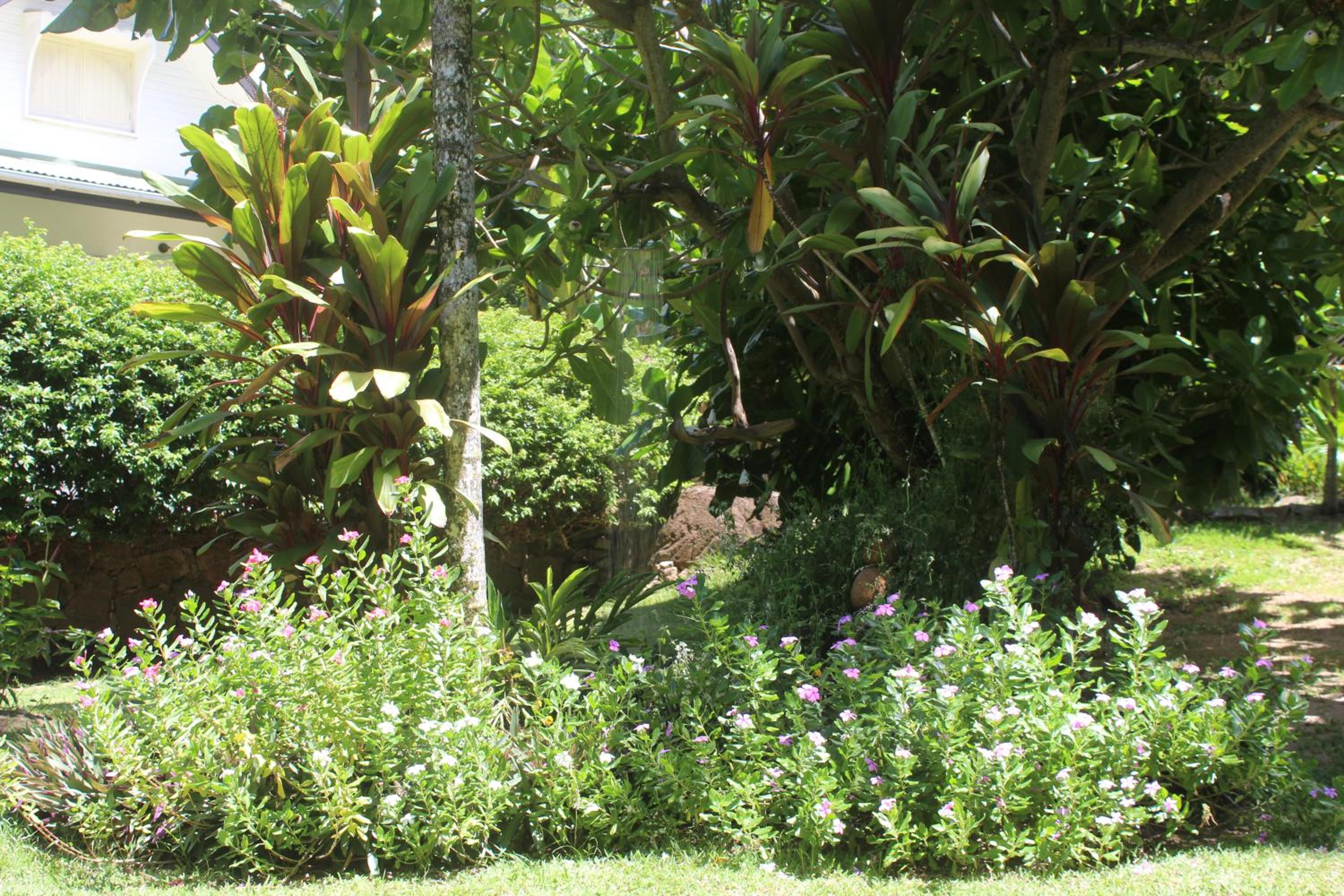 Villa Kordia, photo 52