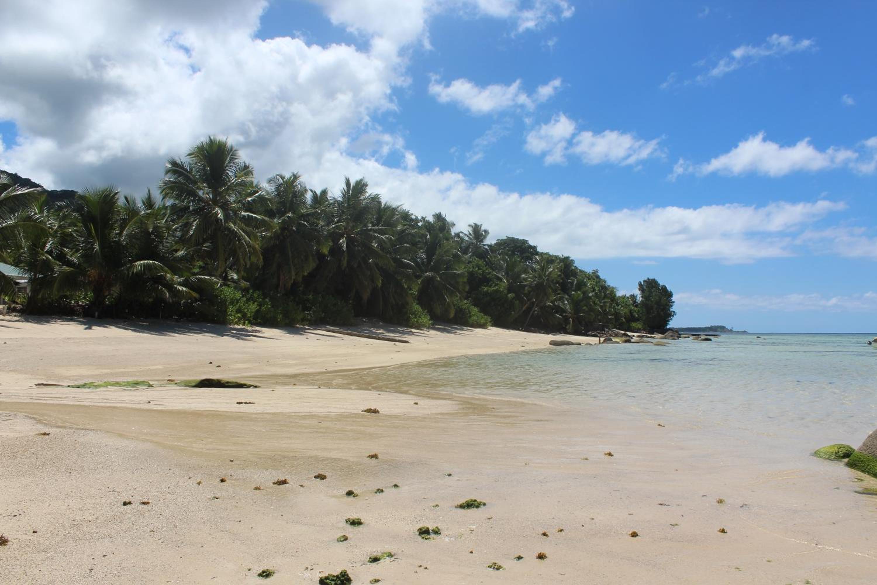 Villa Kordia, photo 49