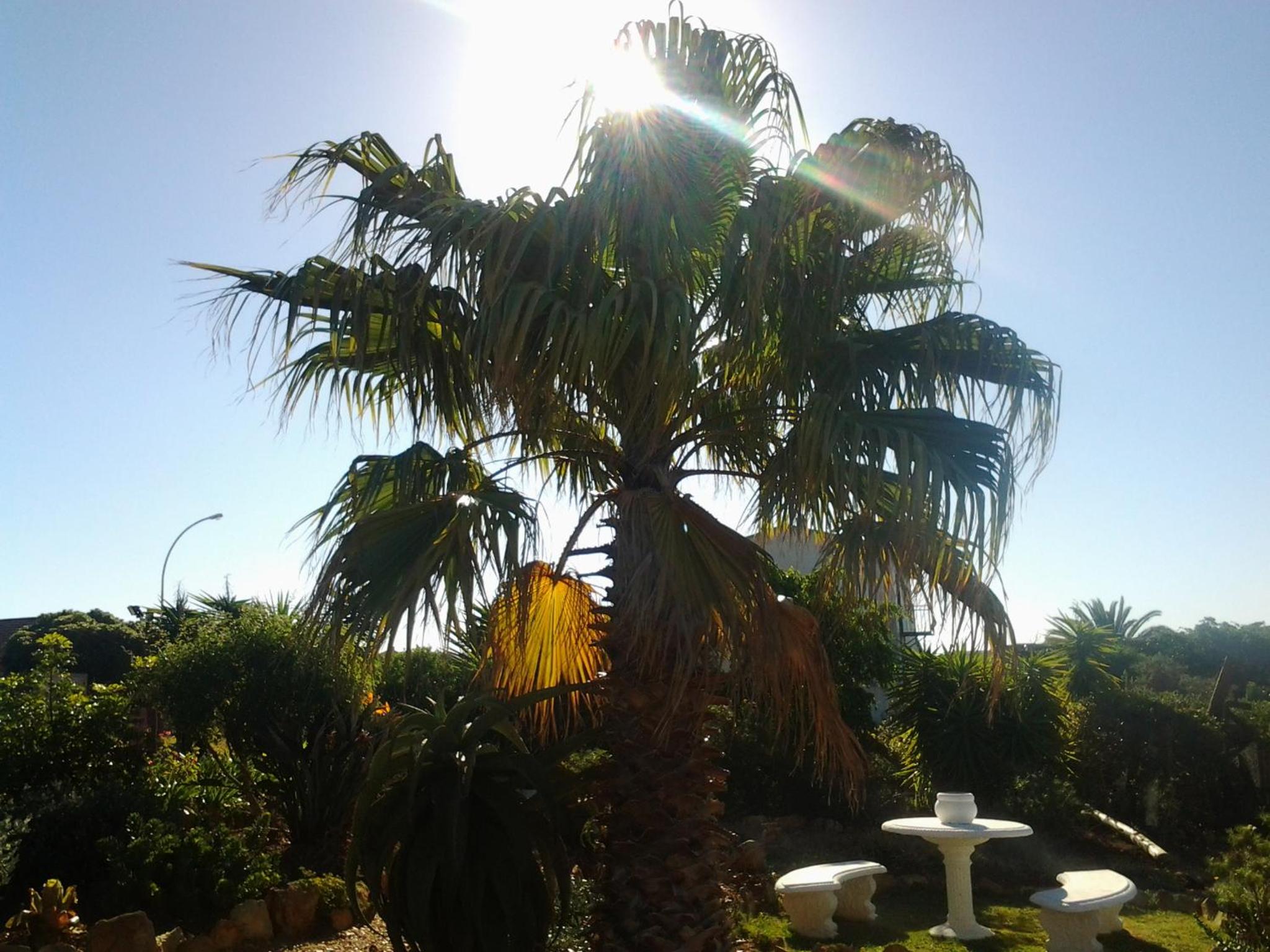 Dolphin View Guesthouse