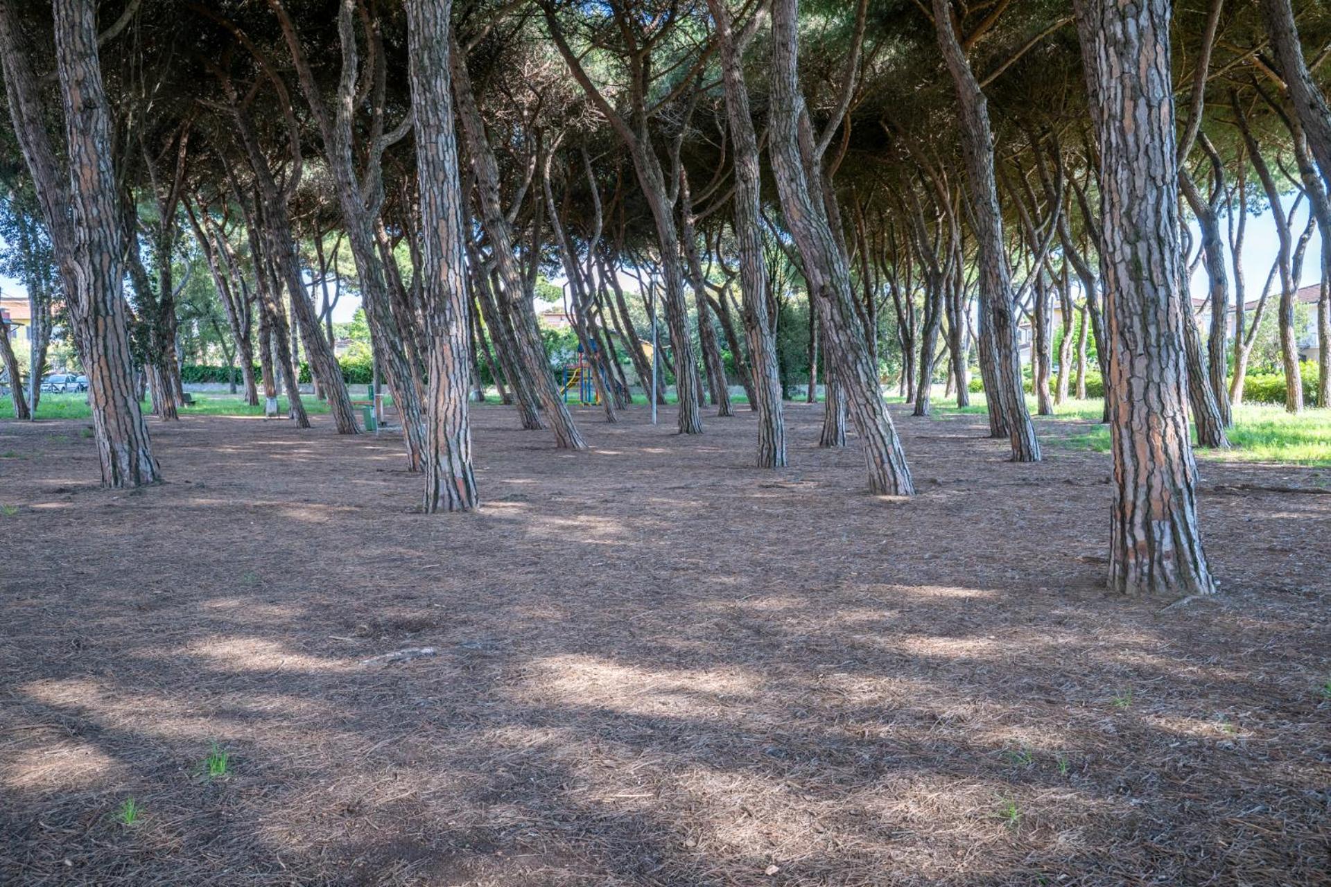 La Veranda di Marconi
