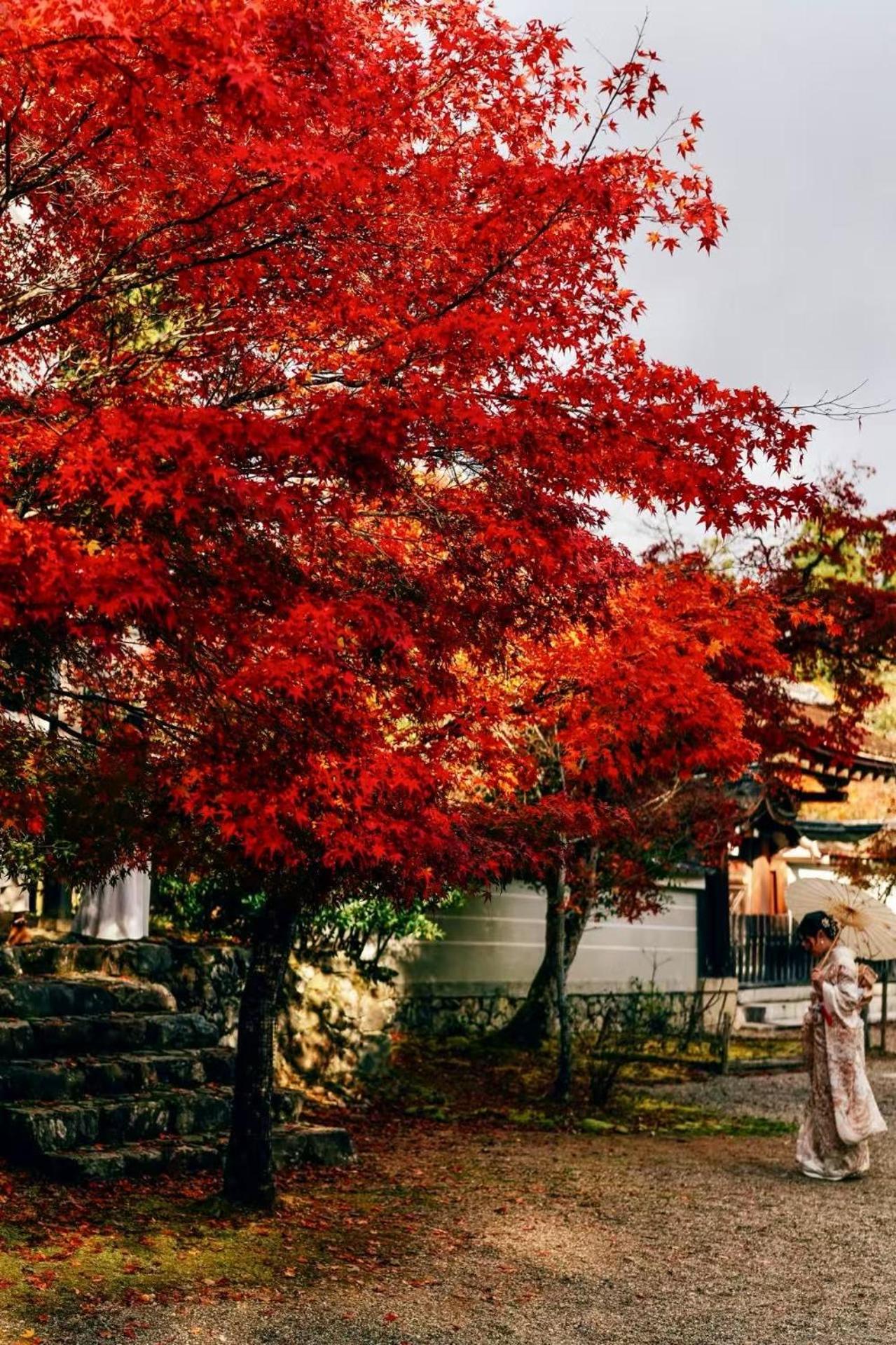 Yuki's house - Kyoto single-family house, 3 minutes to the nearest bus stop