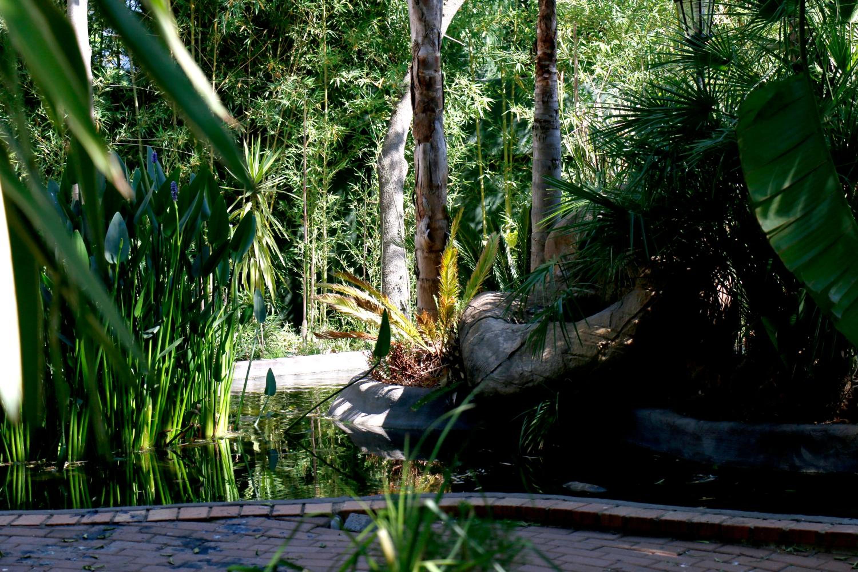 Summerview Guest Lodge