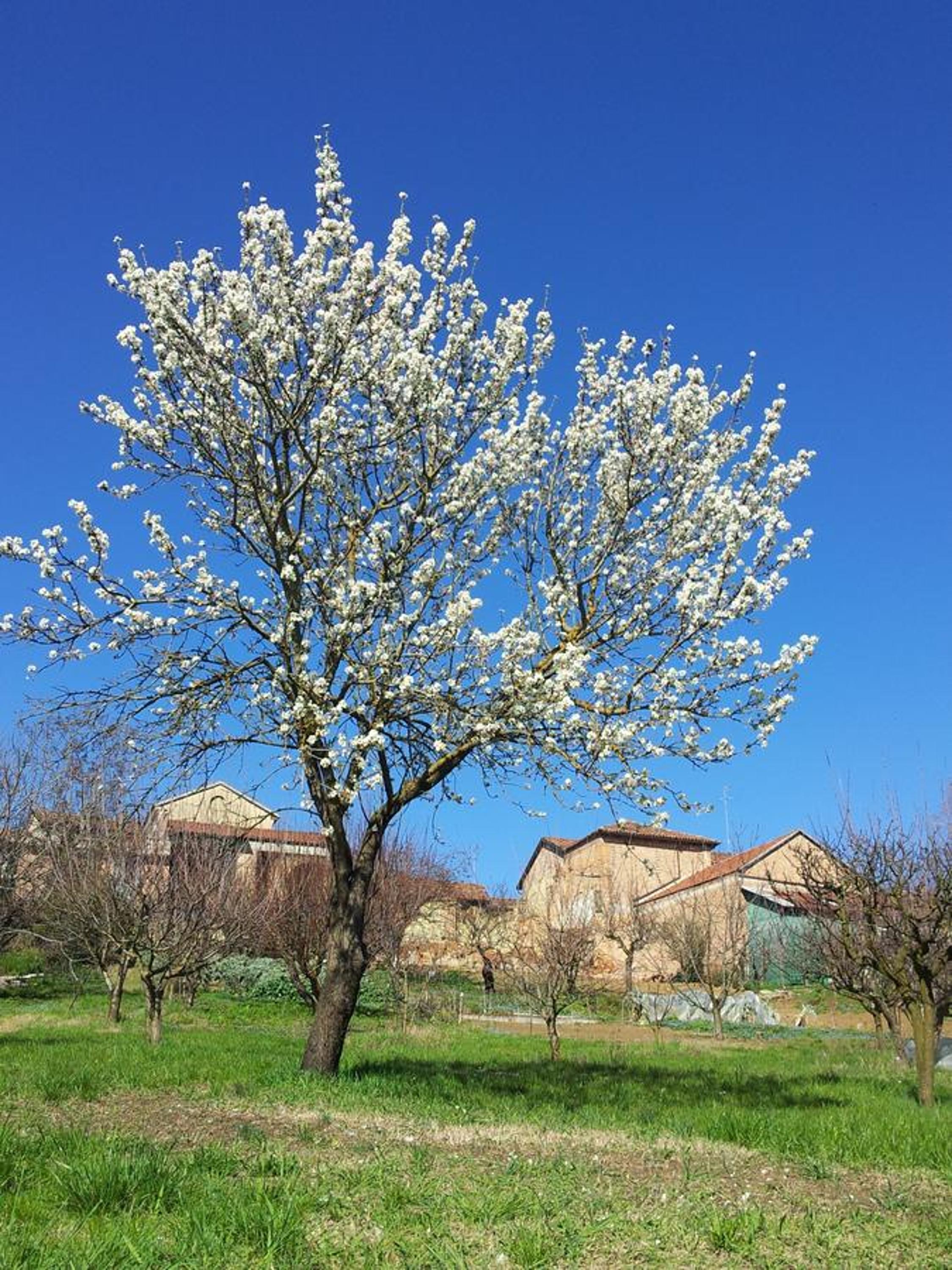 La Casa Blu