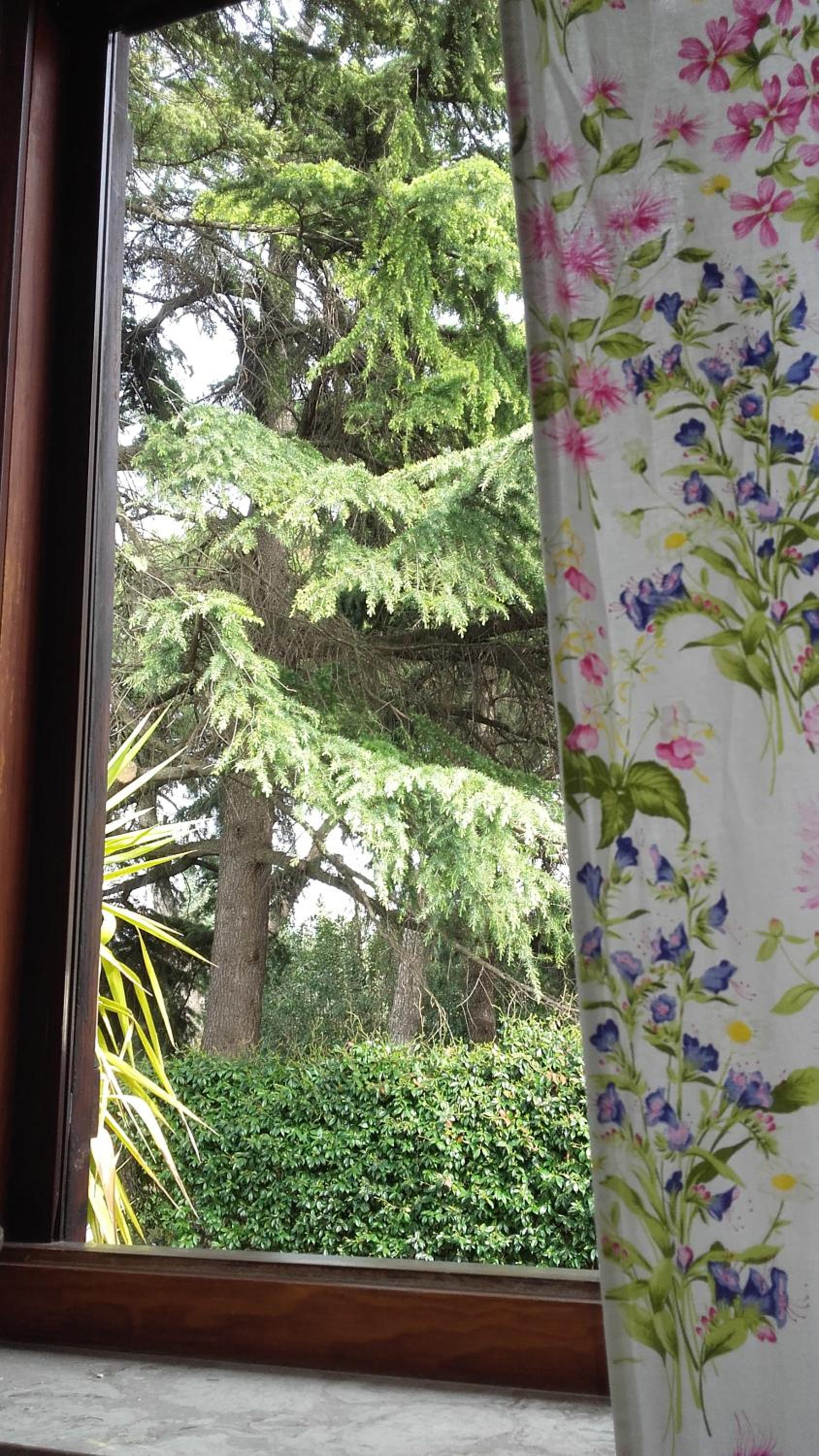 La Fattoria Barbini B&B photo 4
