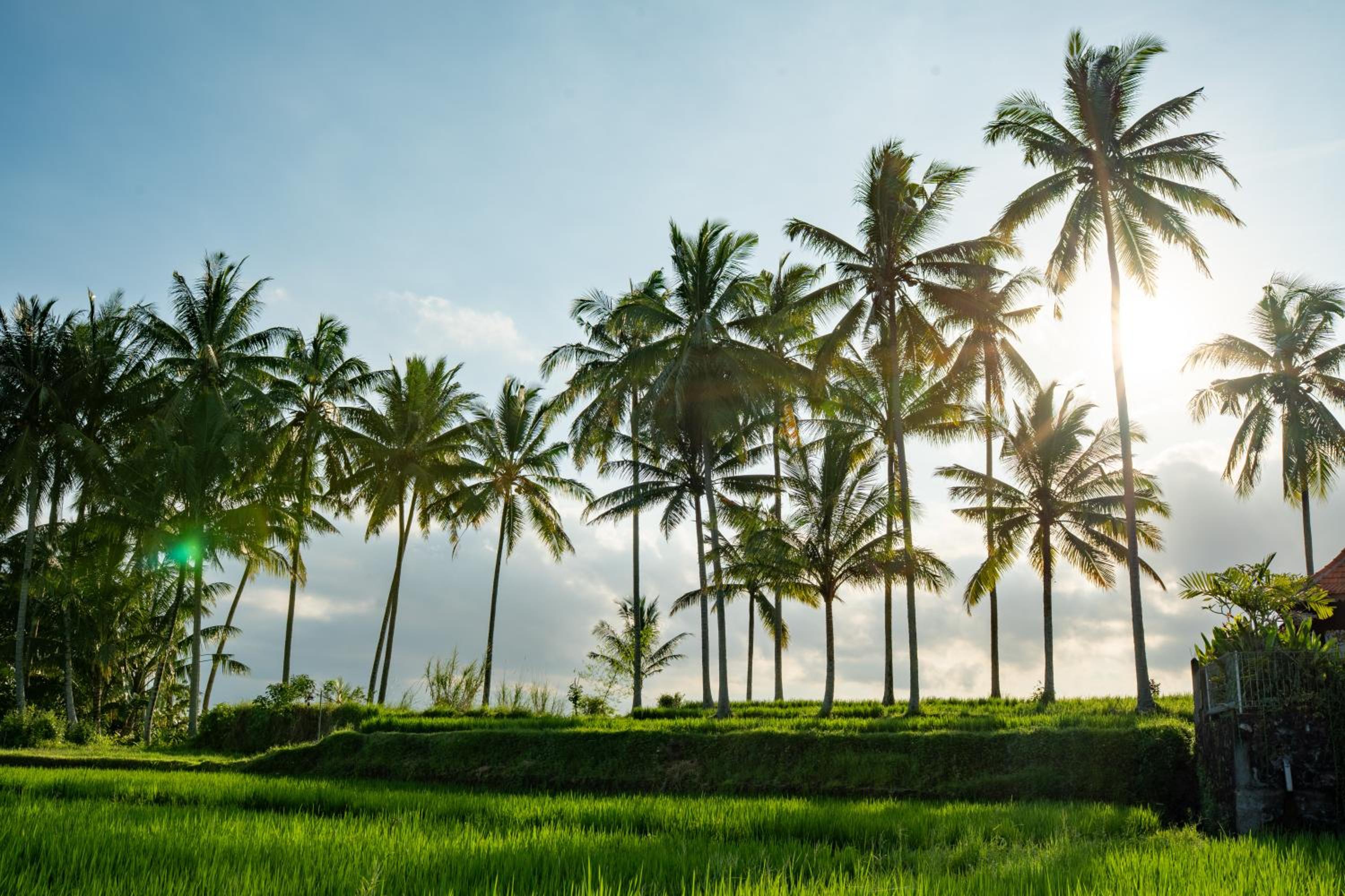 Kubu Cinta Ubud