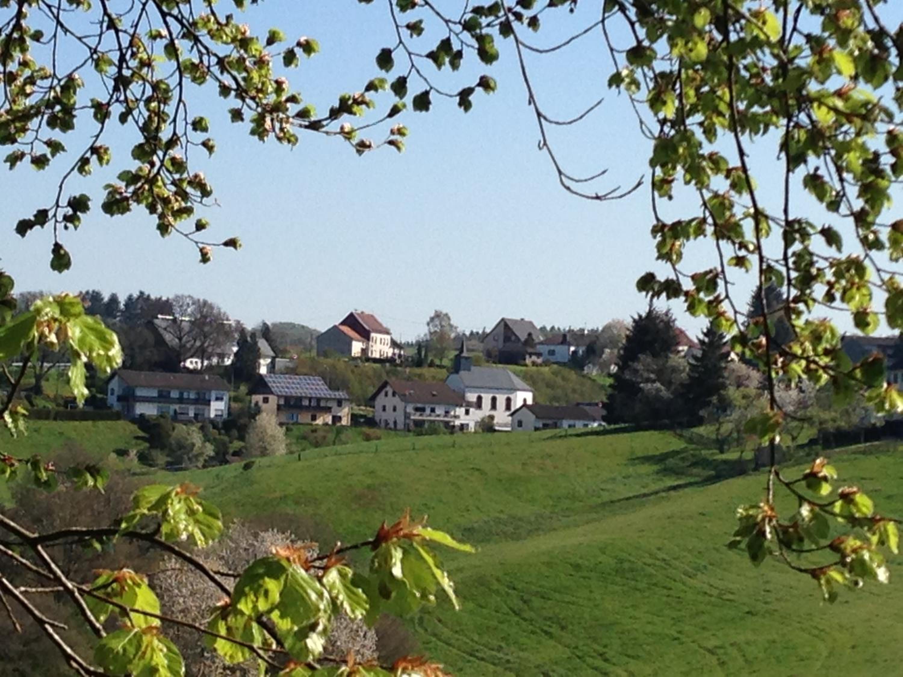 Photo 33
