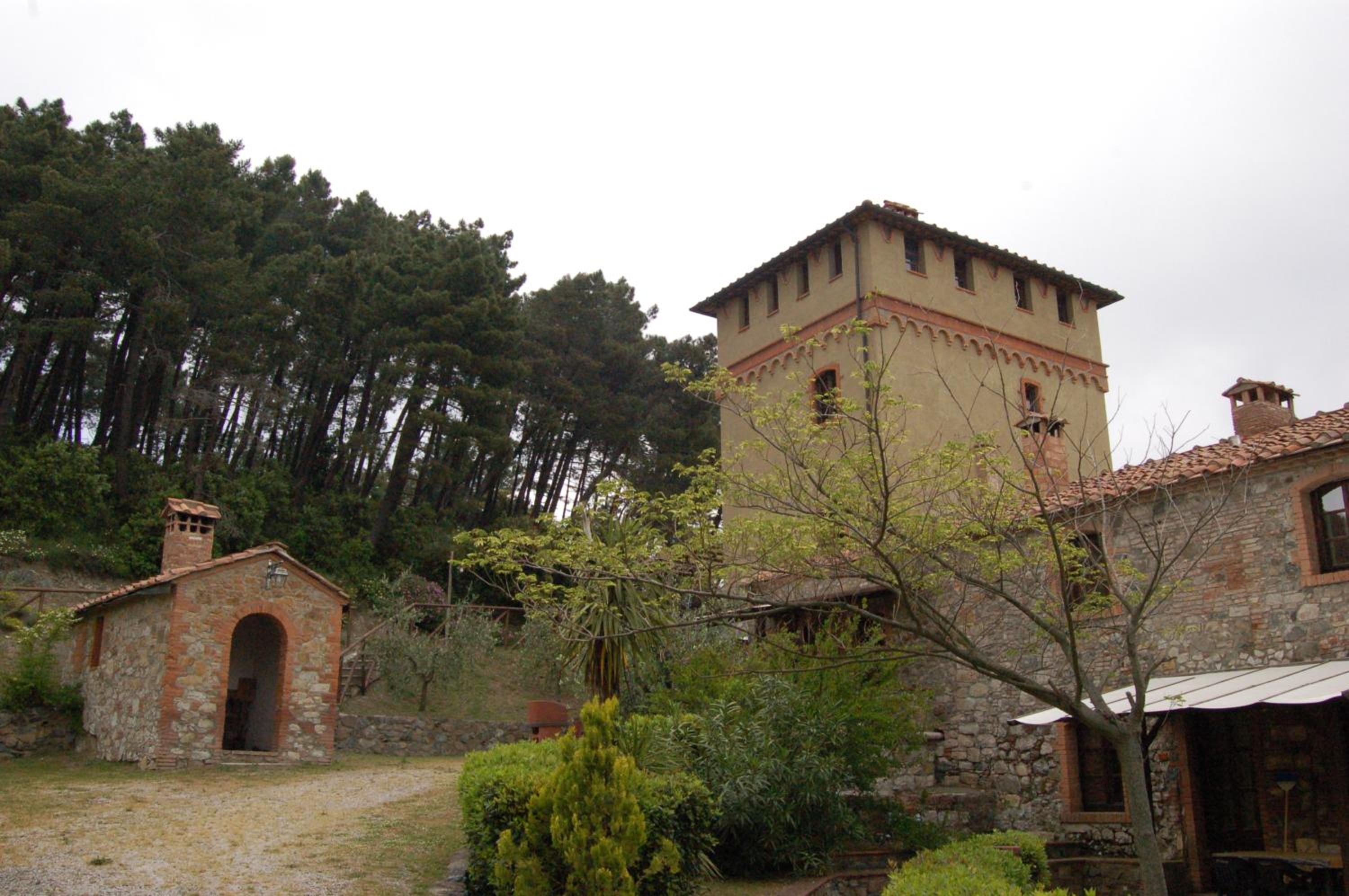 Photo 46