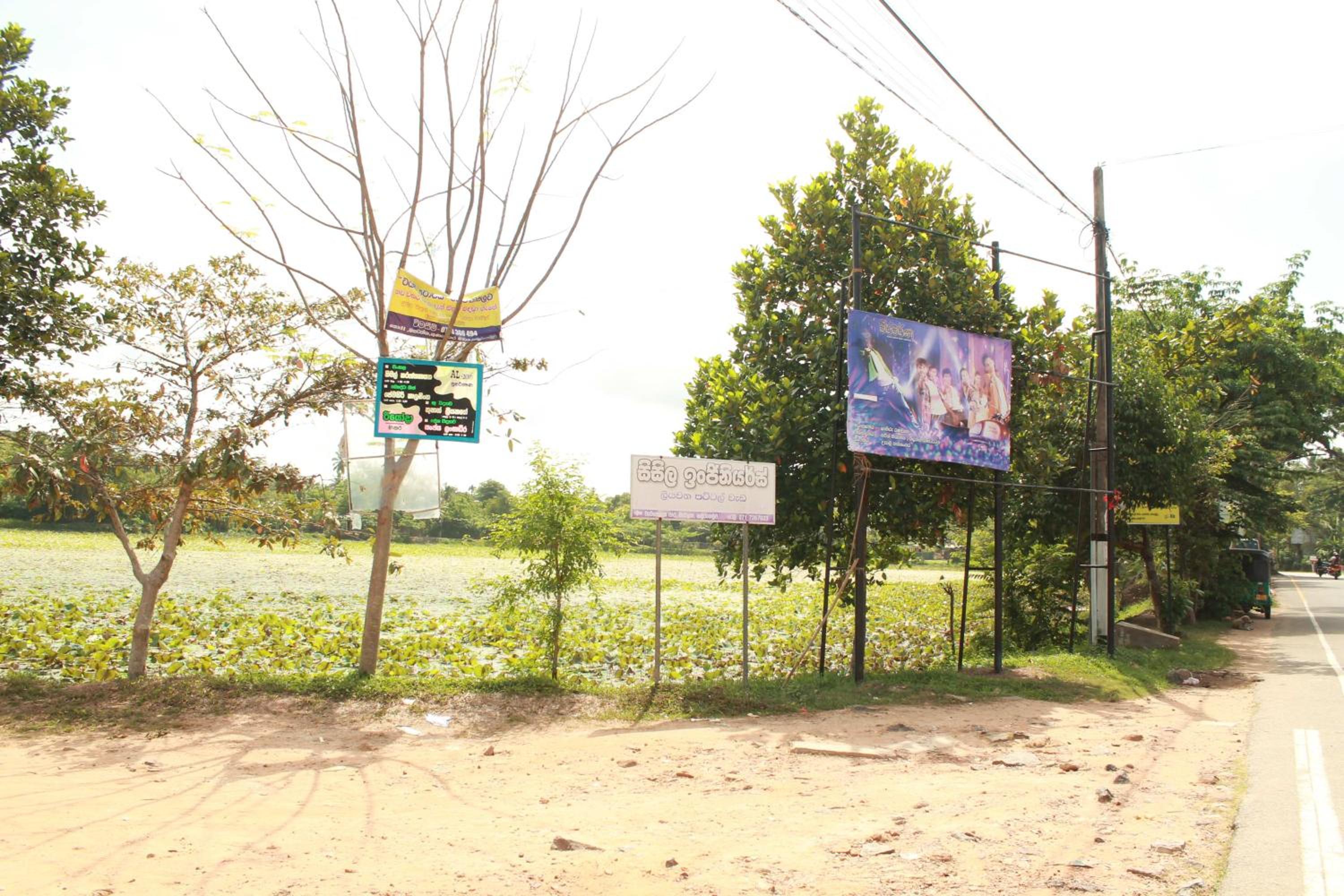 Miringa homestay