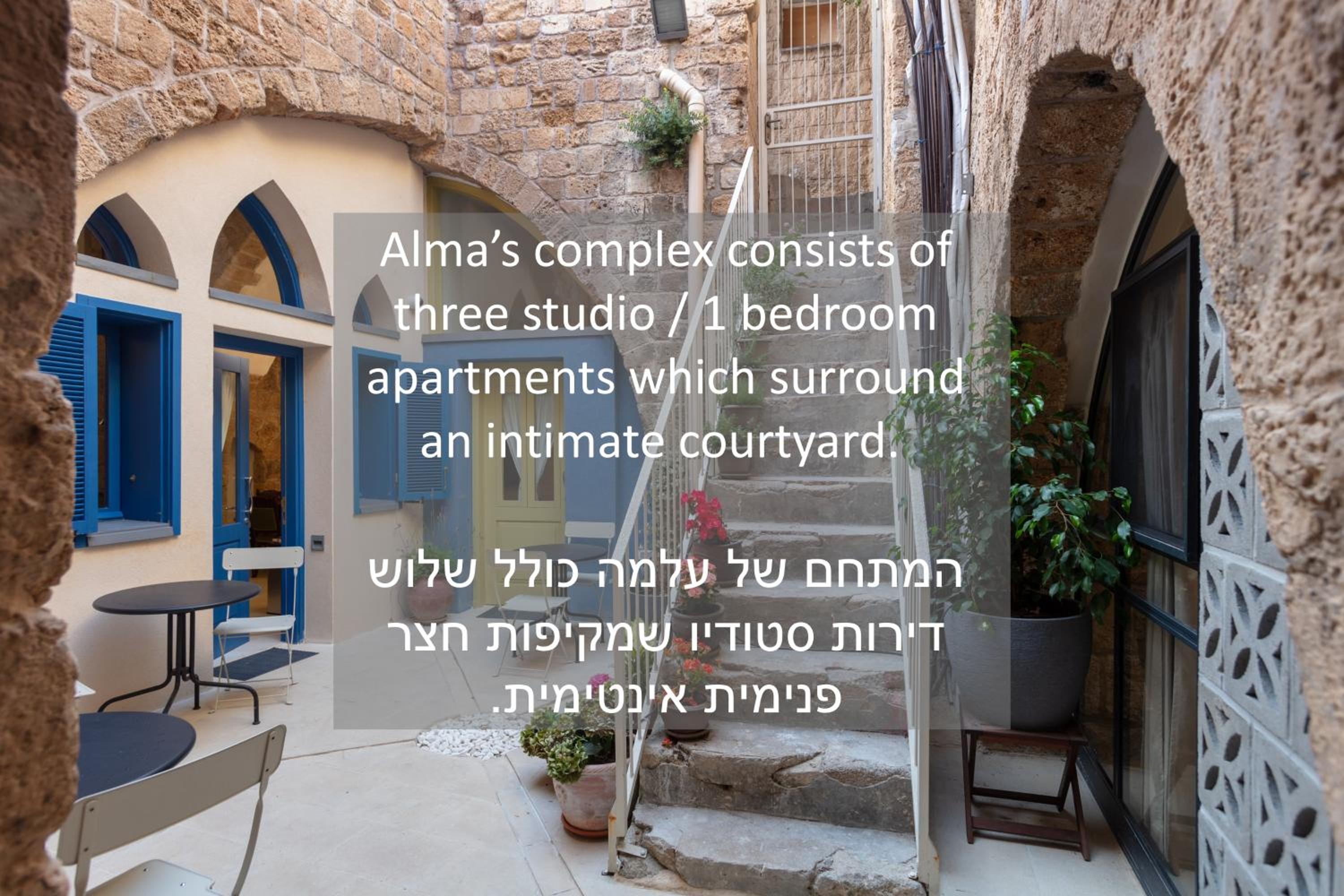 Alma, photo 23