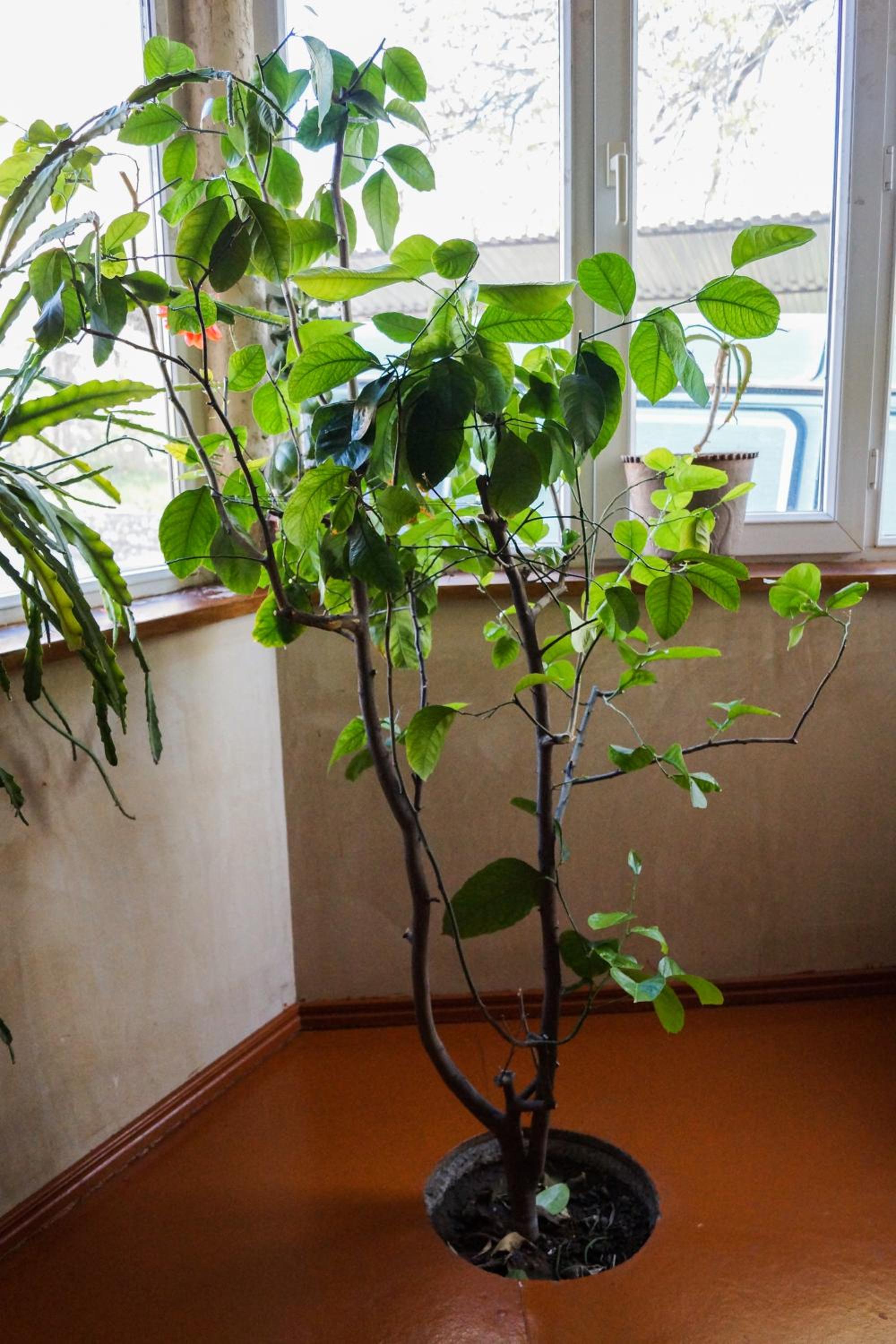 Areni House B&B