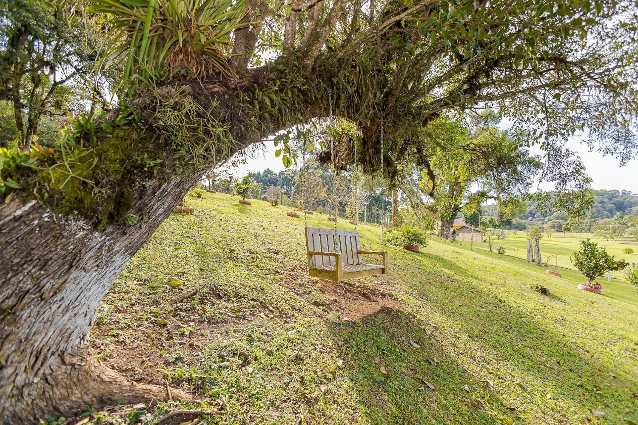Chácara Santa Rita - Campo Magro | Gonzaga Stays