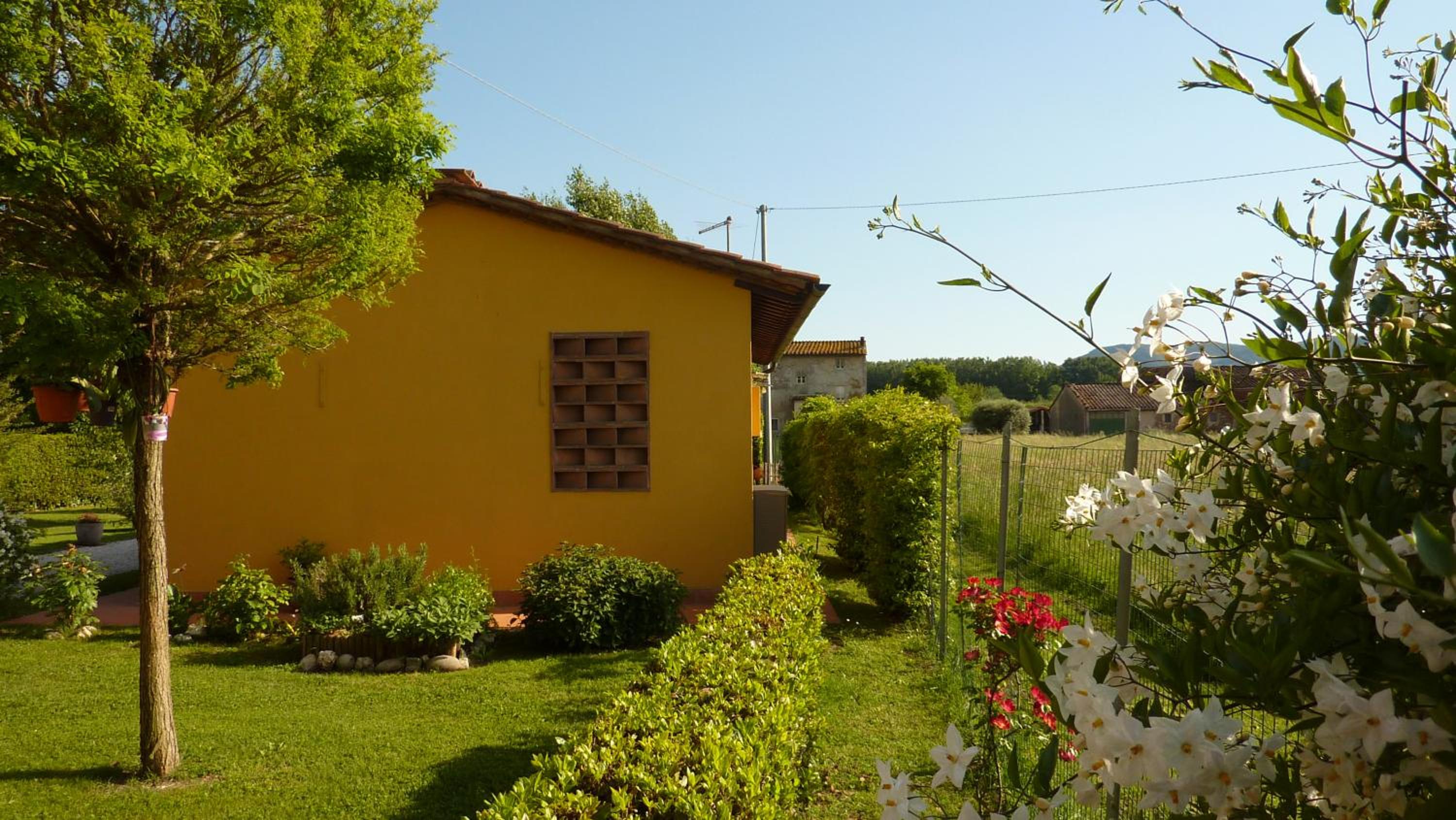 Photo 14