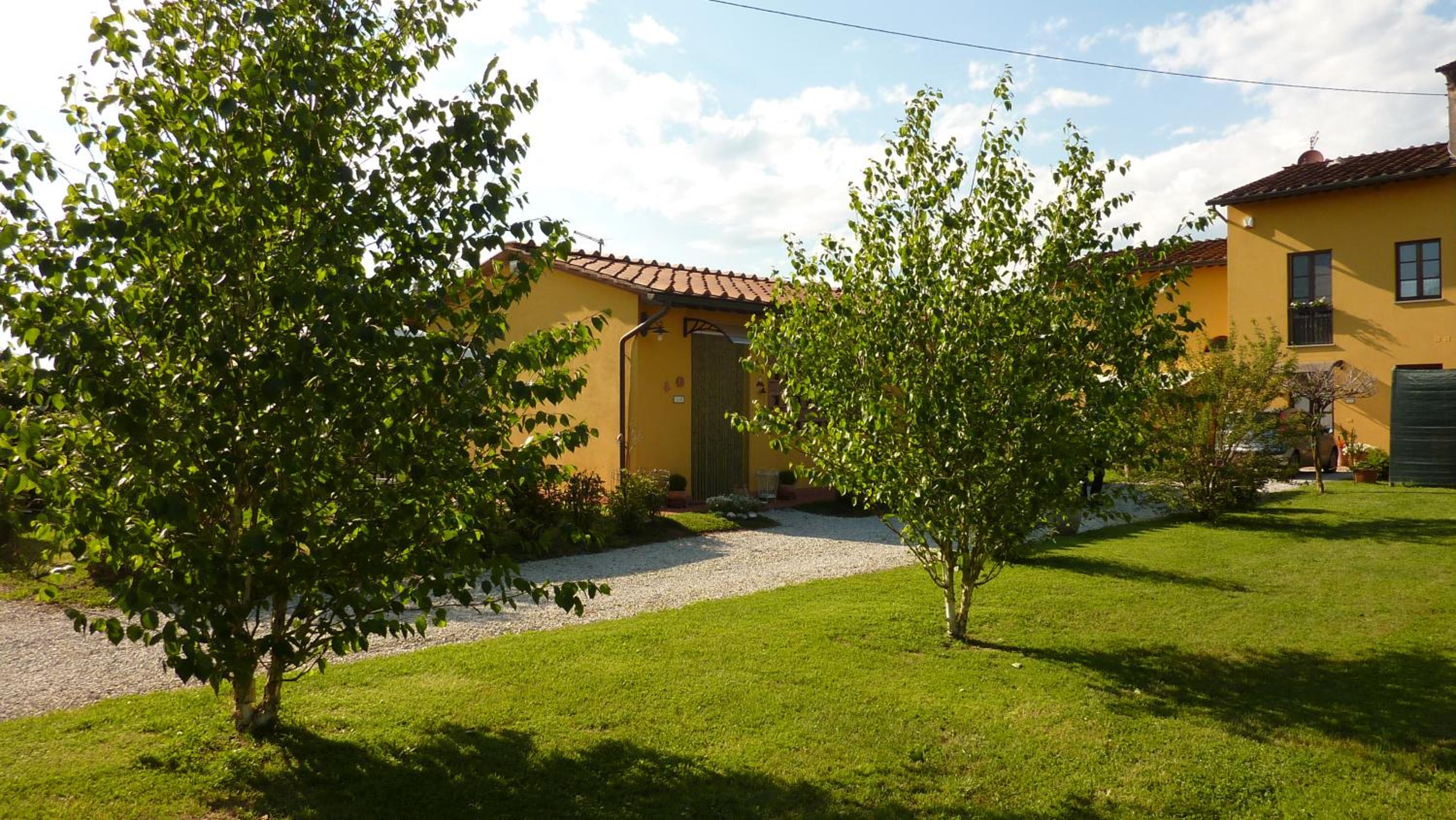 Photo 6