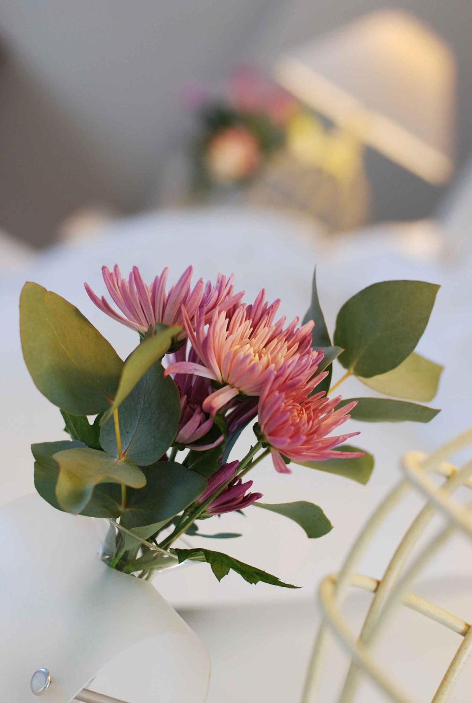 Photo 34