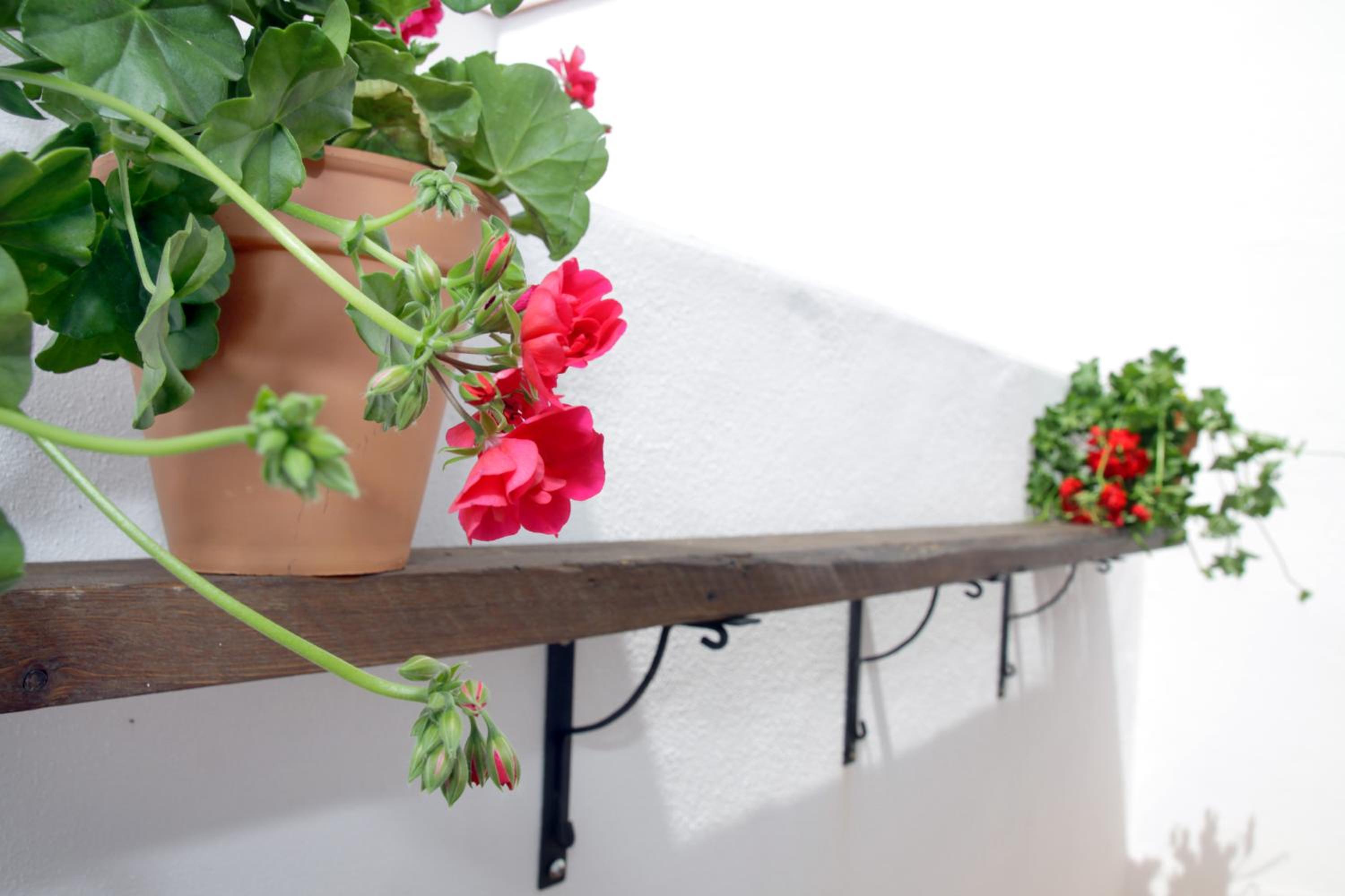 Apartamentos San Fernando 76